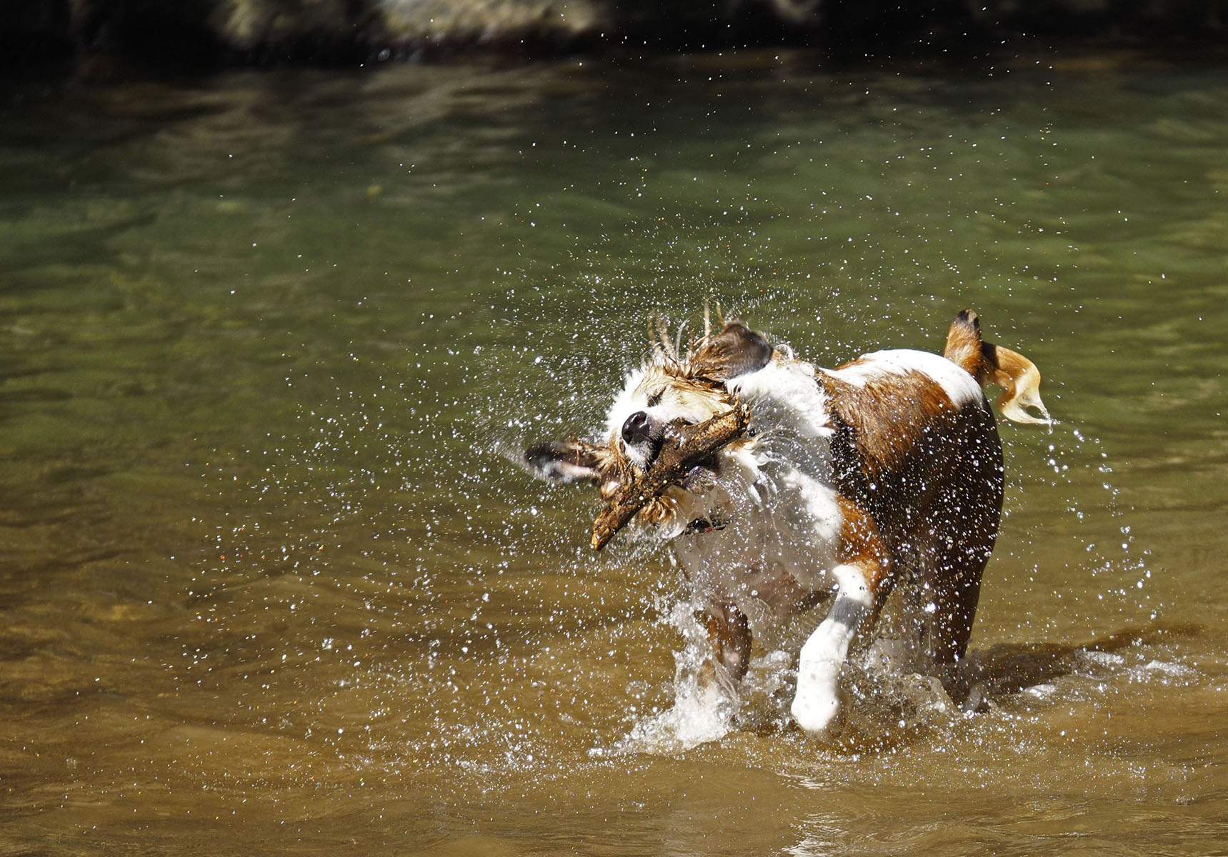 faccio il bagnetto io