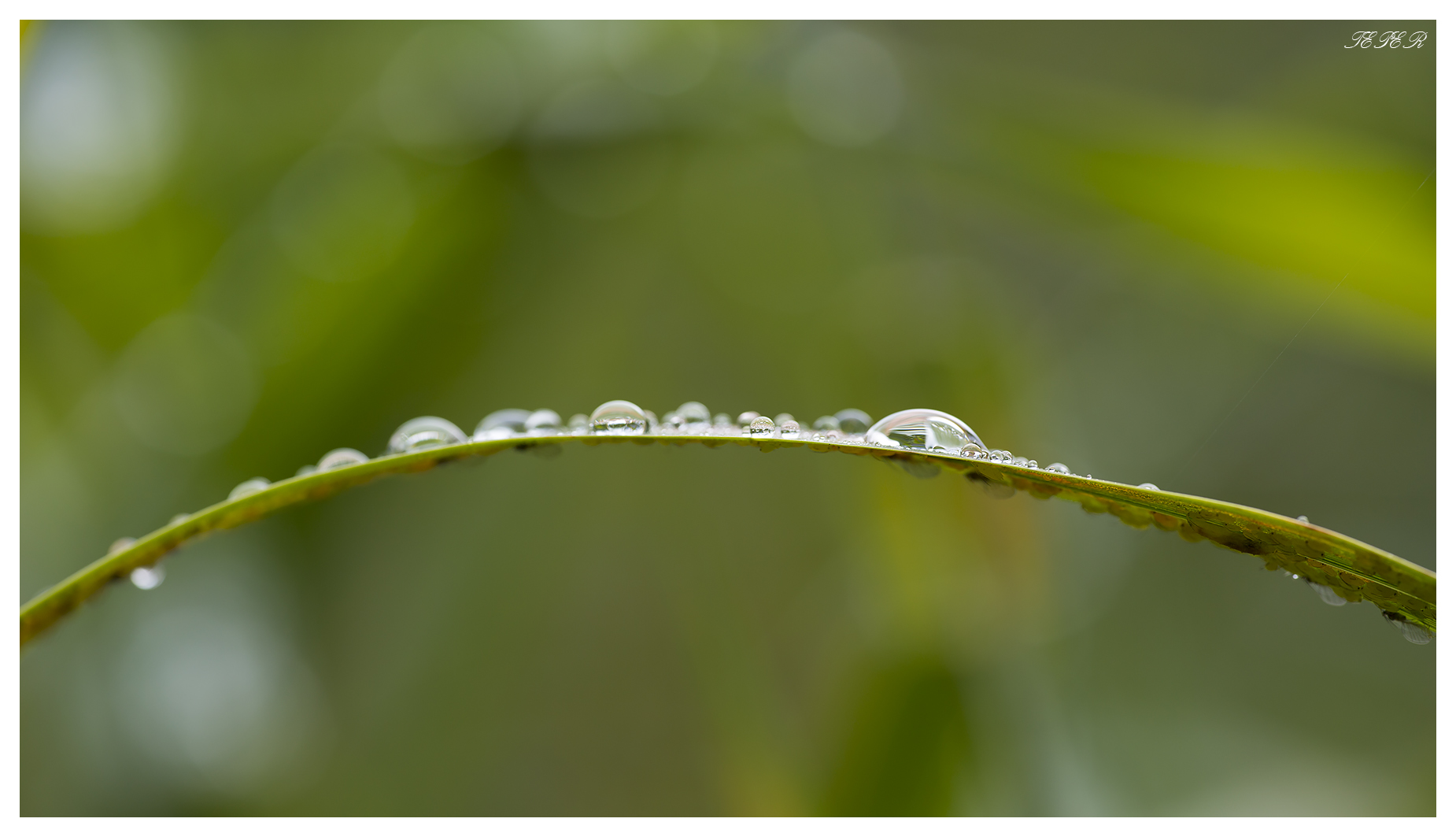 Droplets