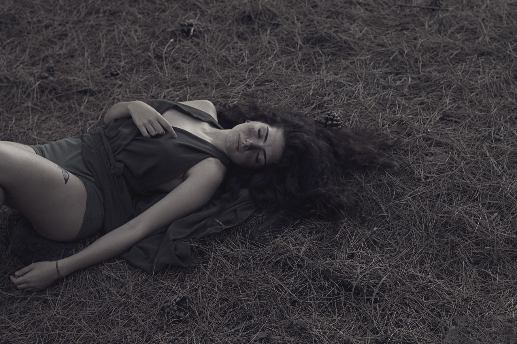 Walking Into the Woods - Dreams