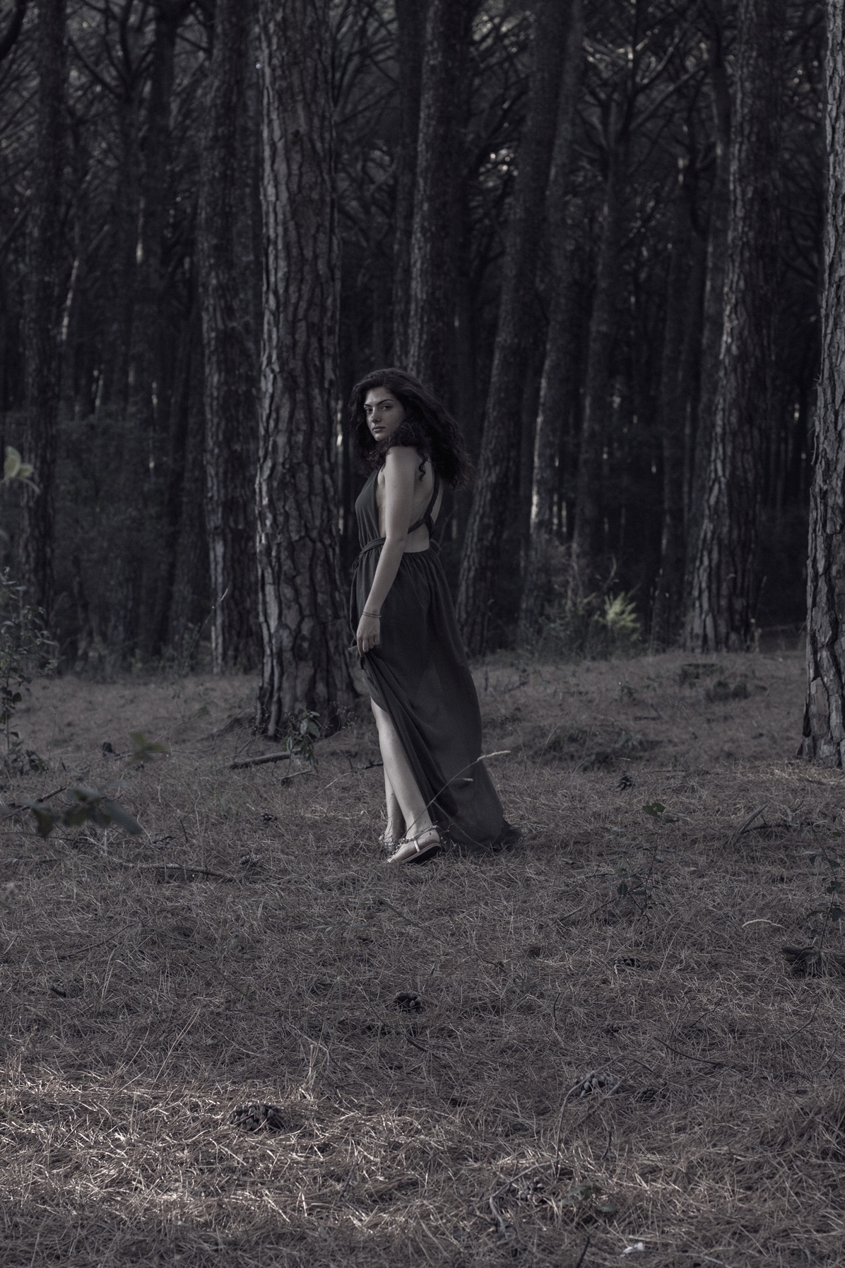 Walking Into the Woods