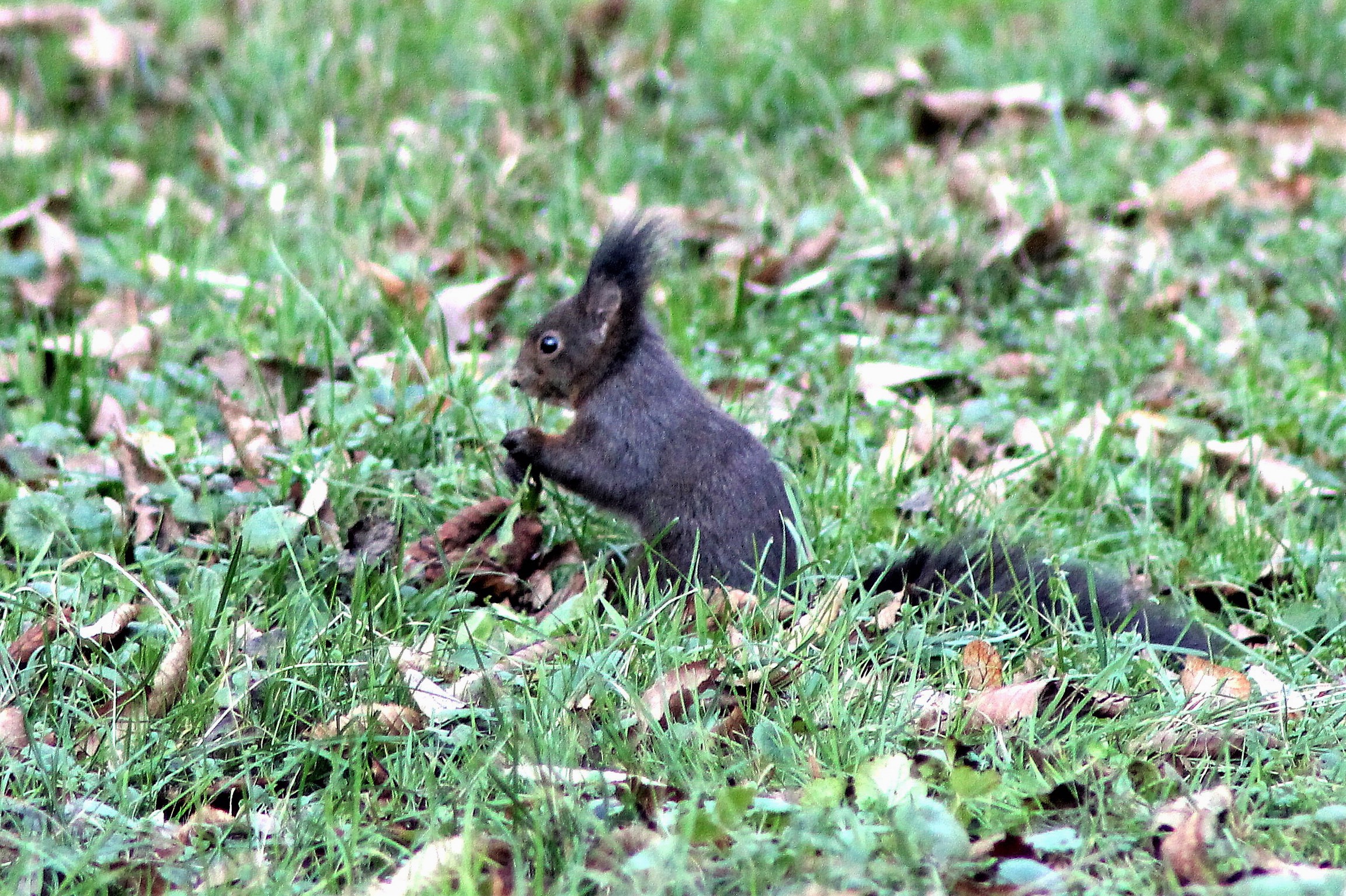 something good looking