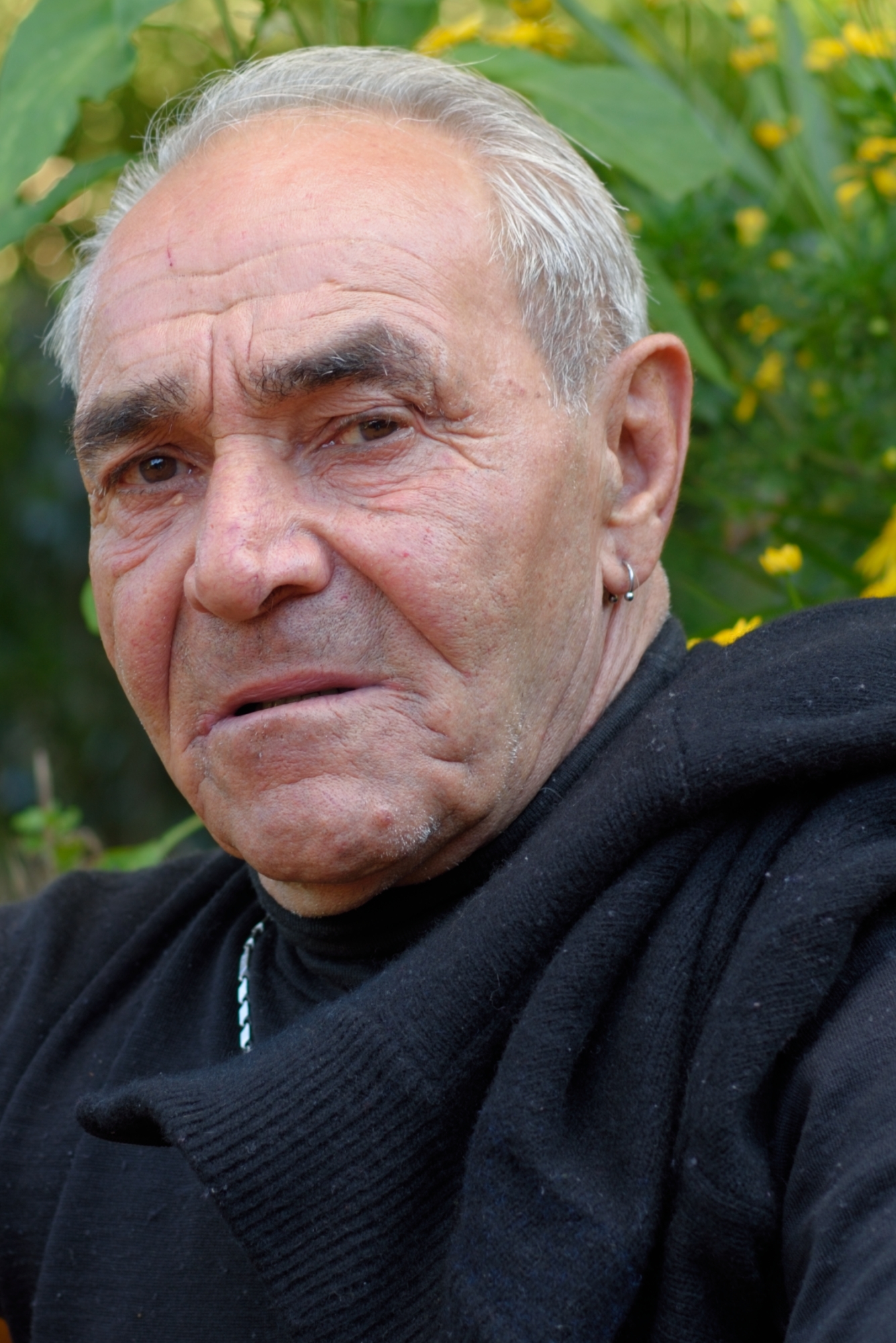 Portrait of My Father