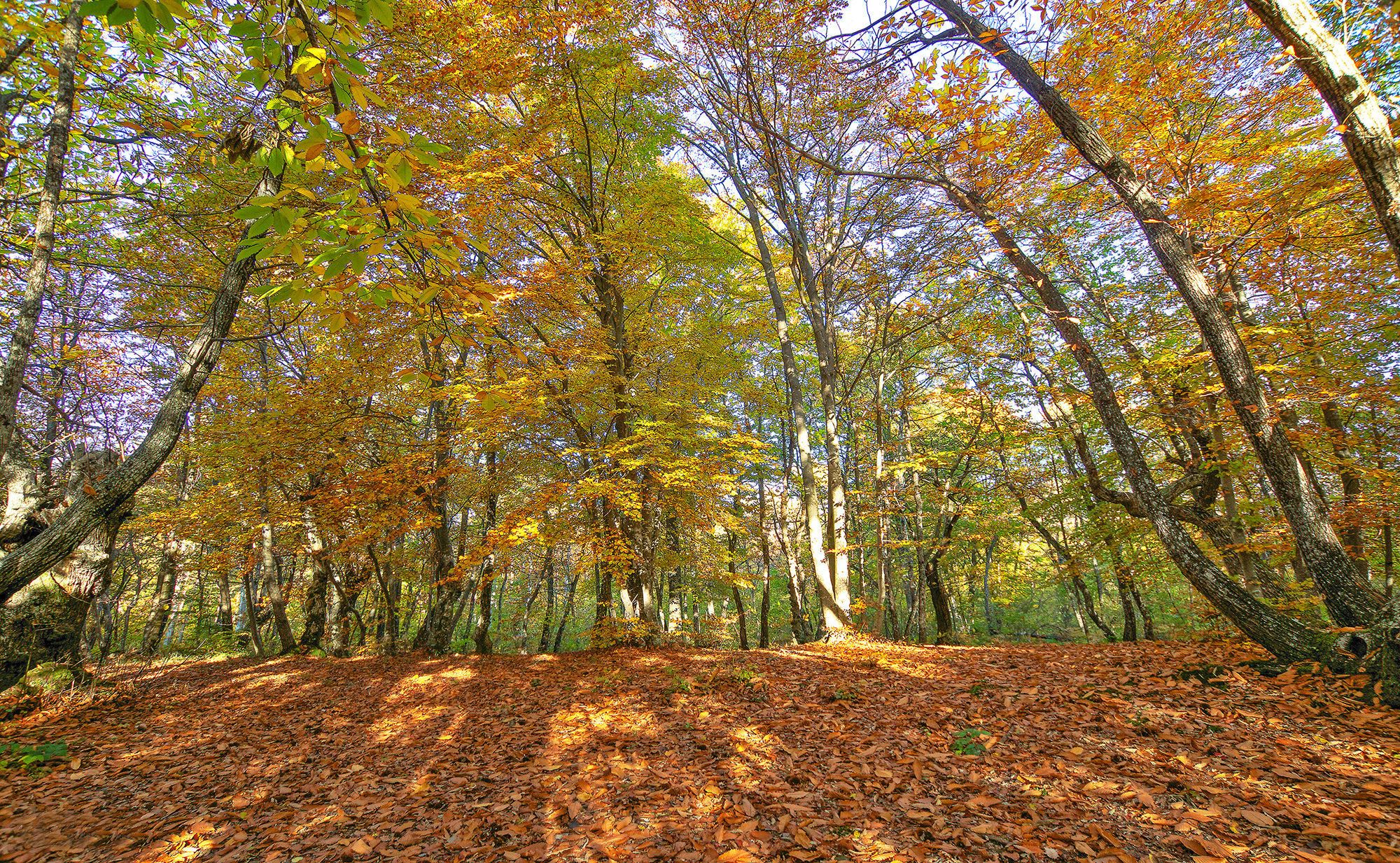 November on the Apennines