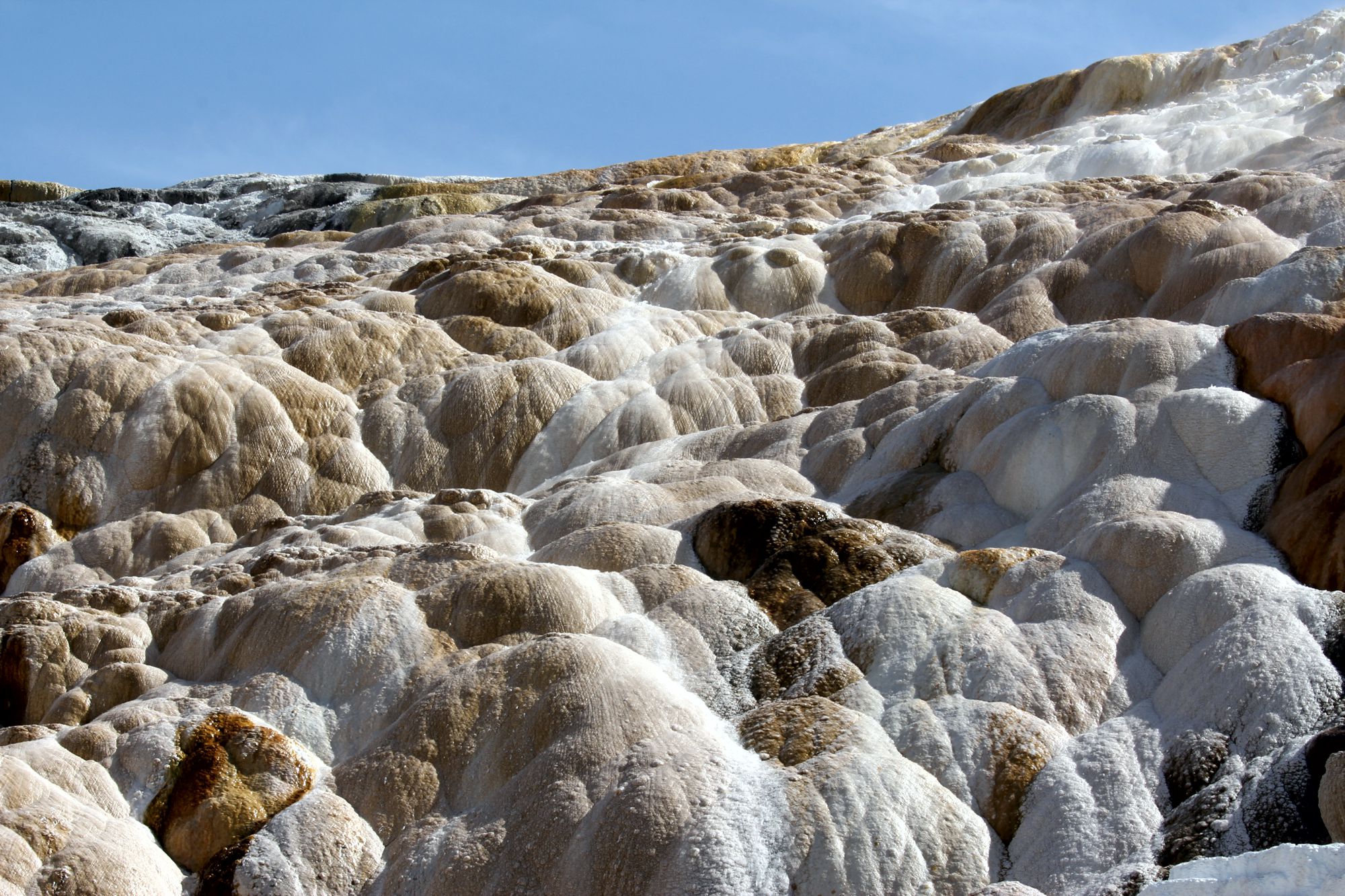 parco di Yellowstone, WY