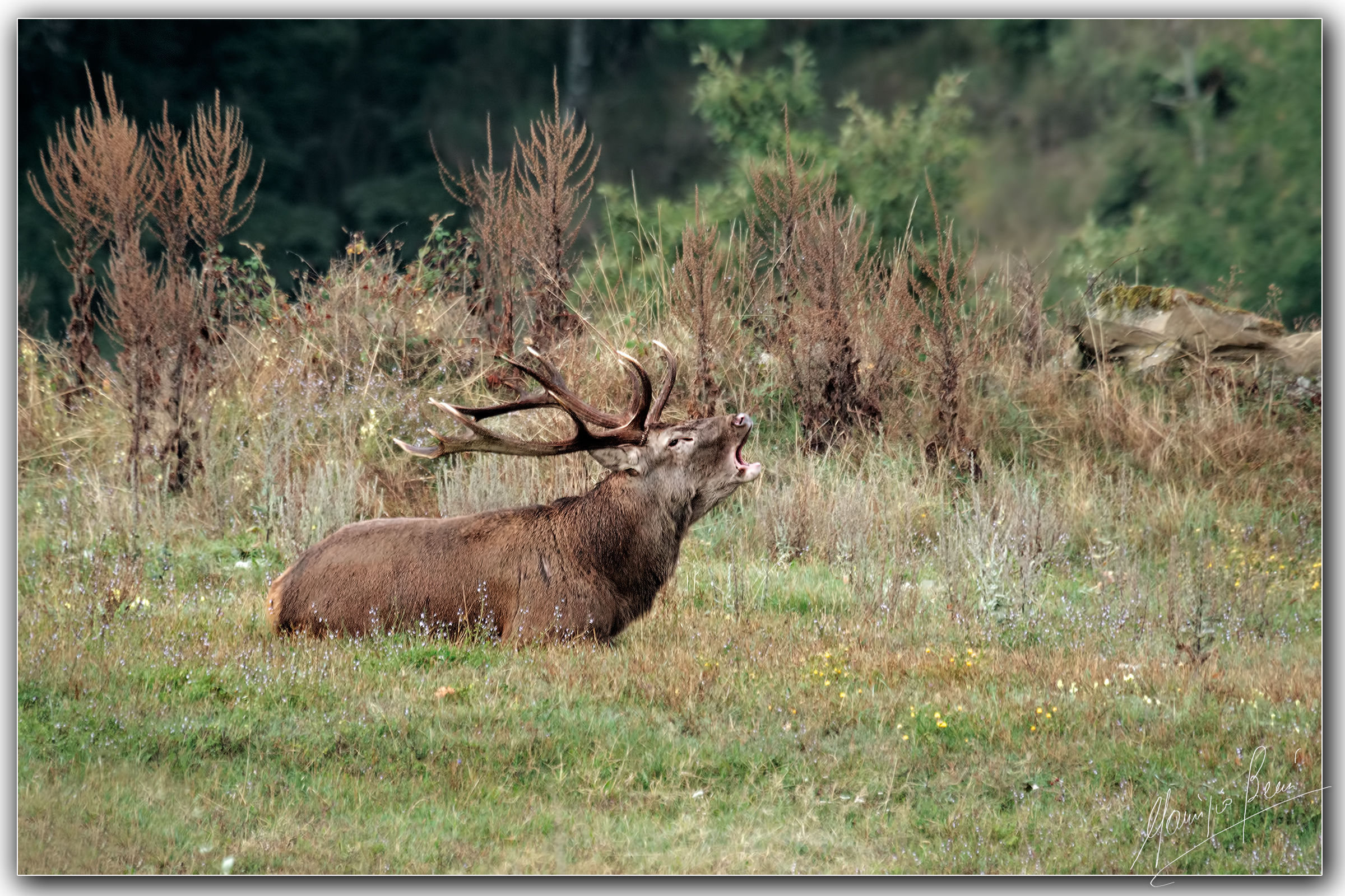 Il riposo del guerriero