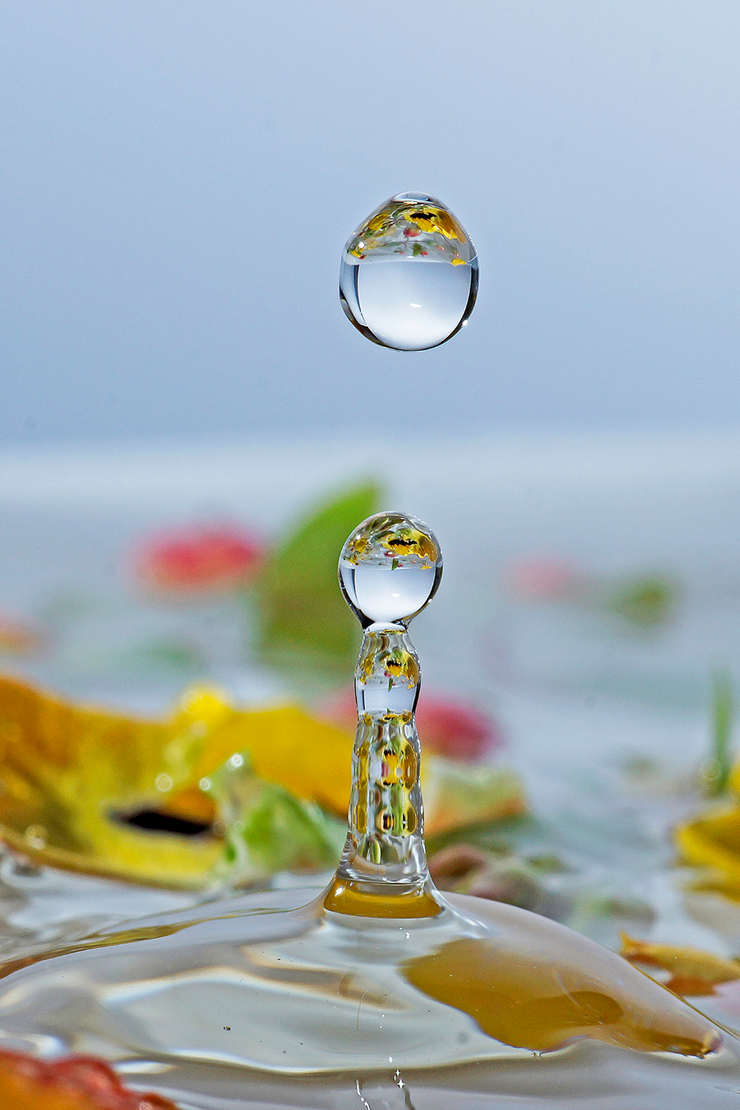 flower in the drop