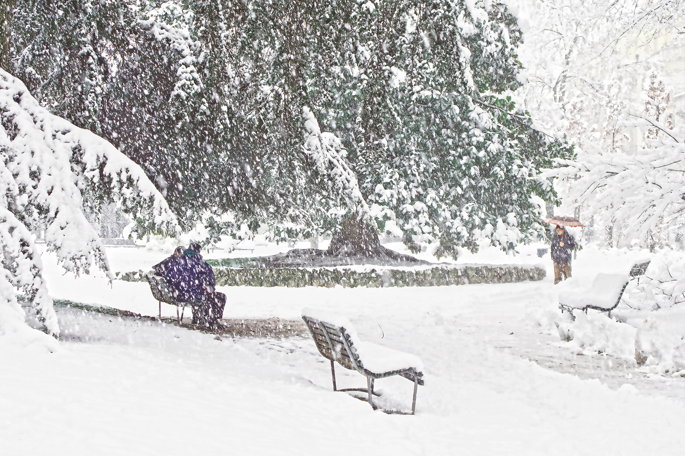 public gardens of Cremona