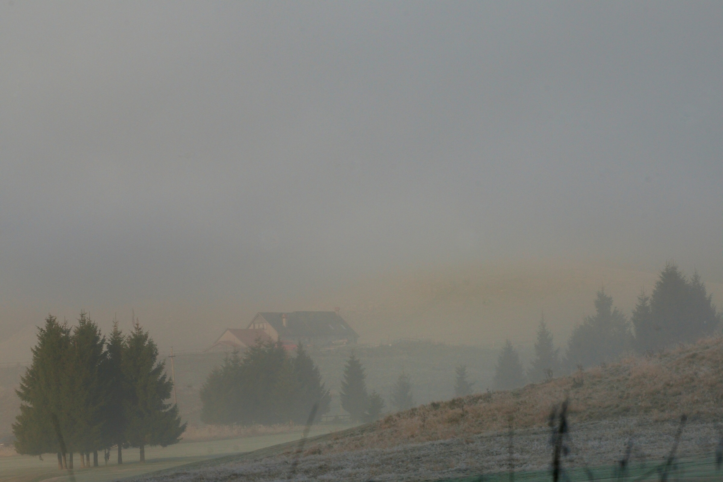 Quadro del Cansiglio...