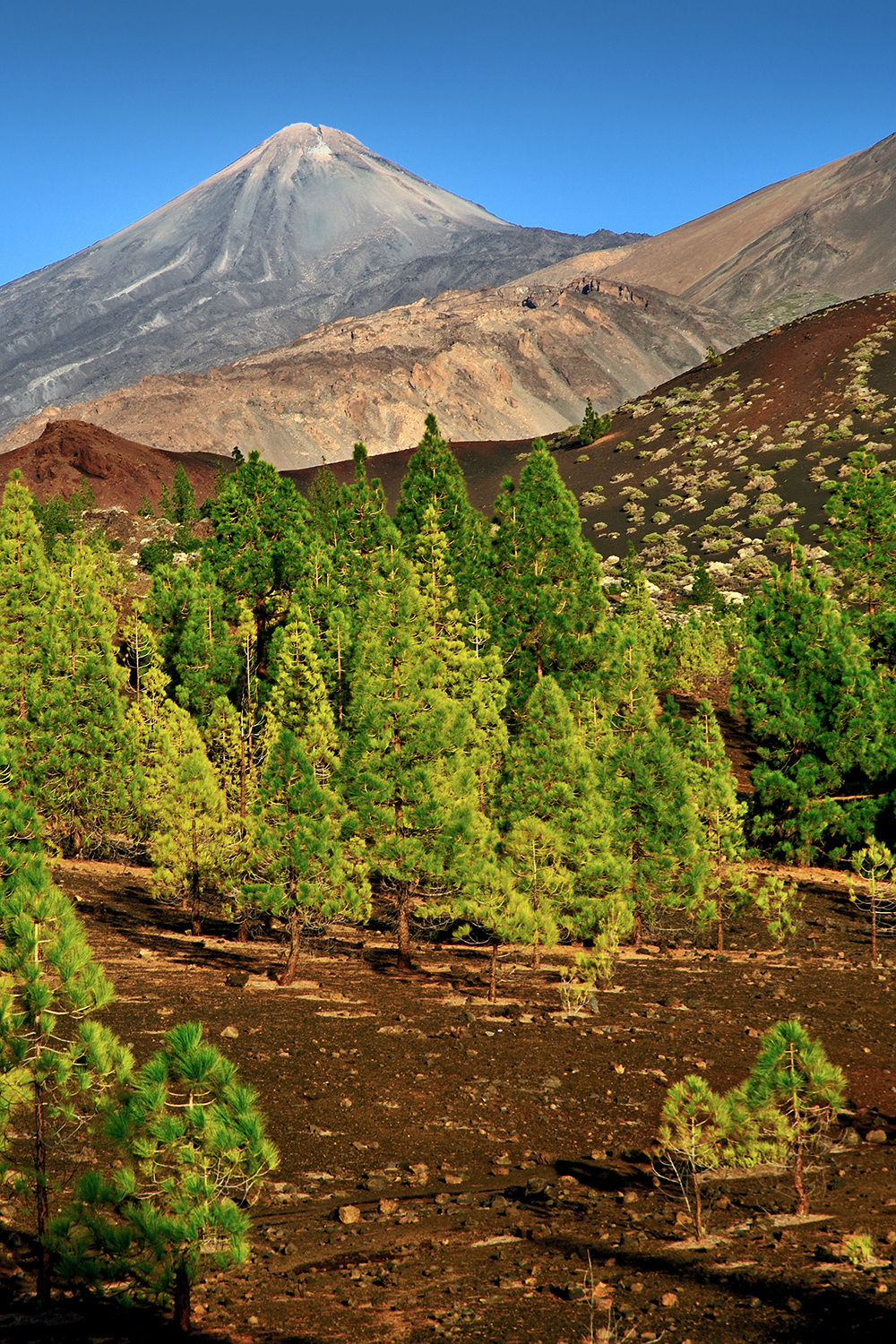 Teide - Tenerife