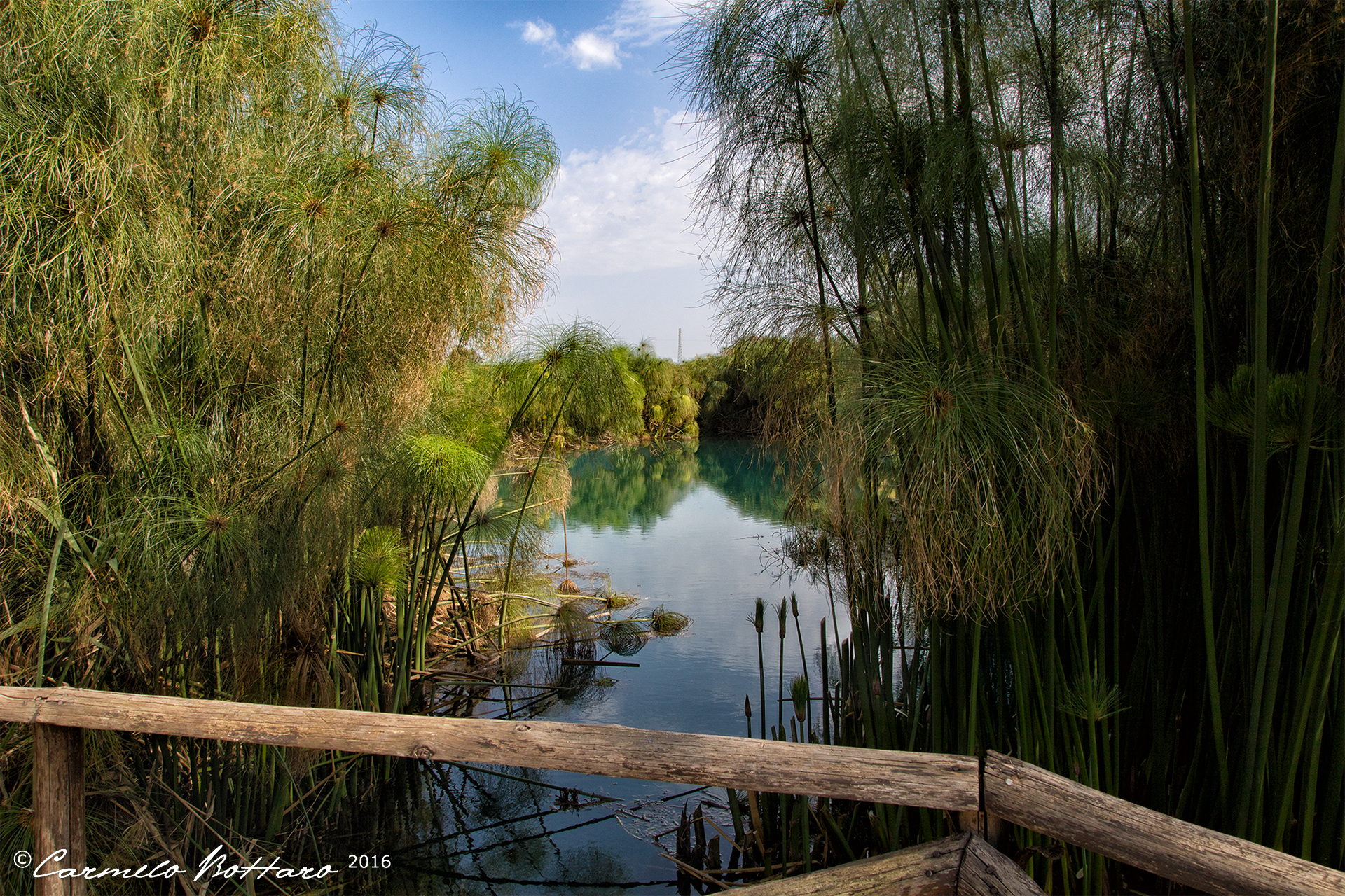 Il Papiro di Siracusa