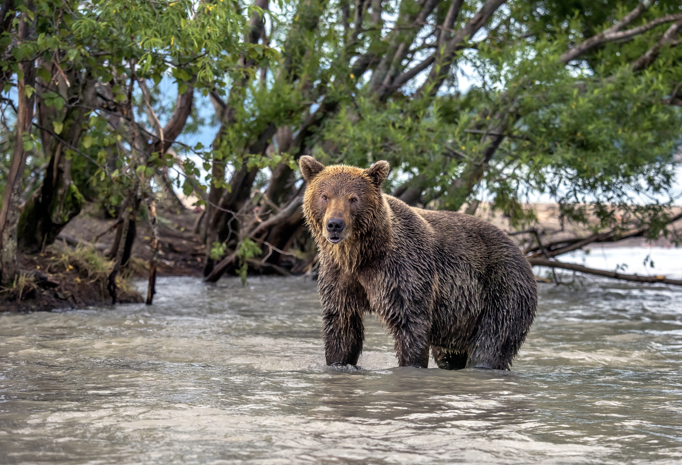 Kamchatka 2016 - Nel lago
