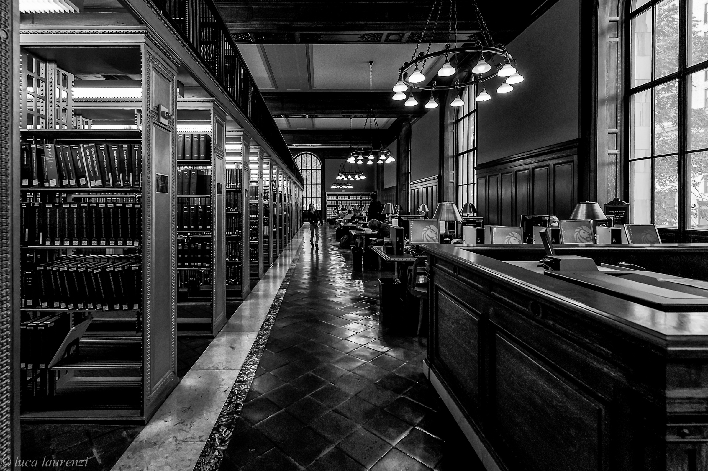 New York Public Library (vers. B / W)