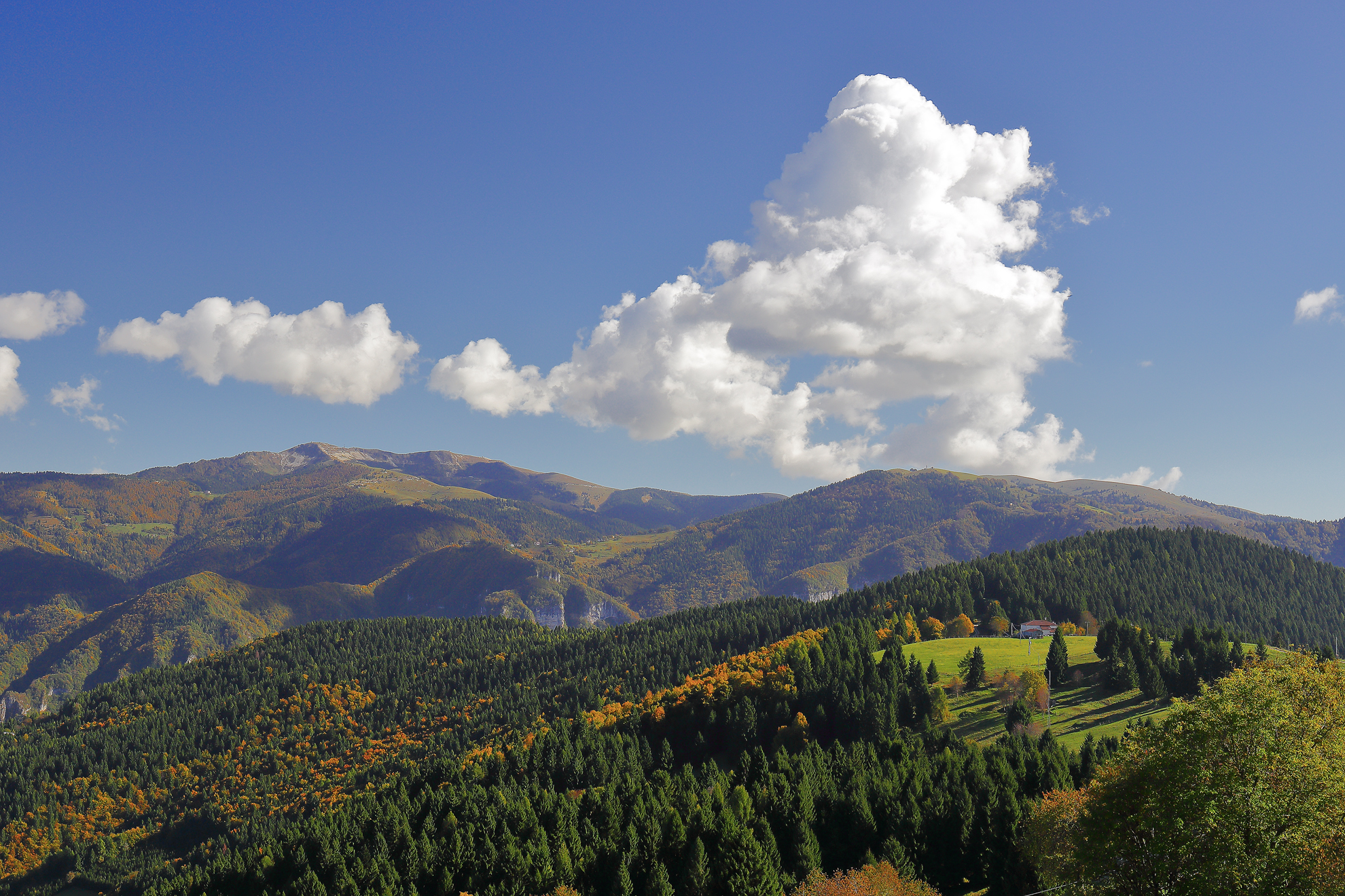 Asiago: here and there the foliage begins
