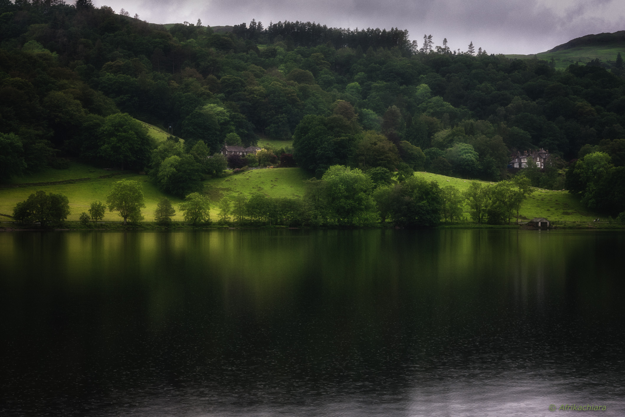 In a sea of ??green ...