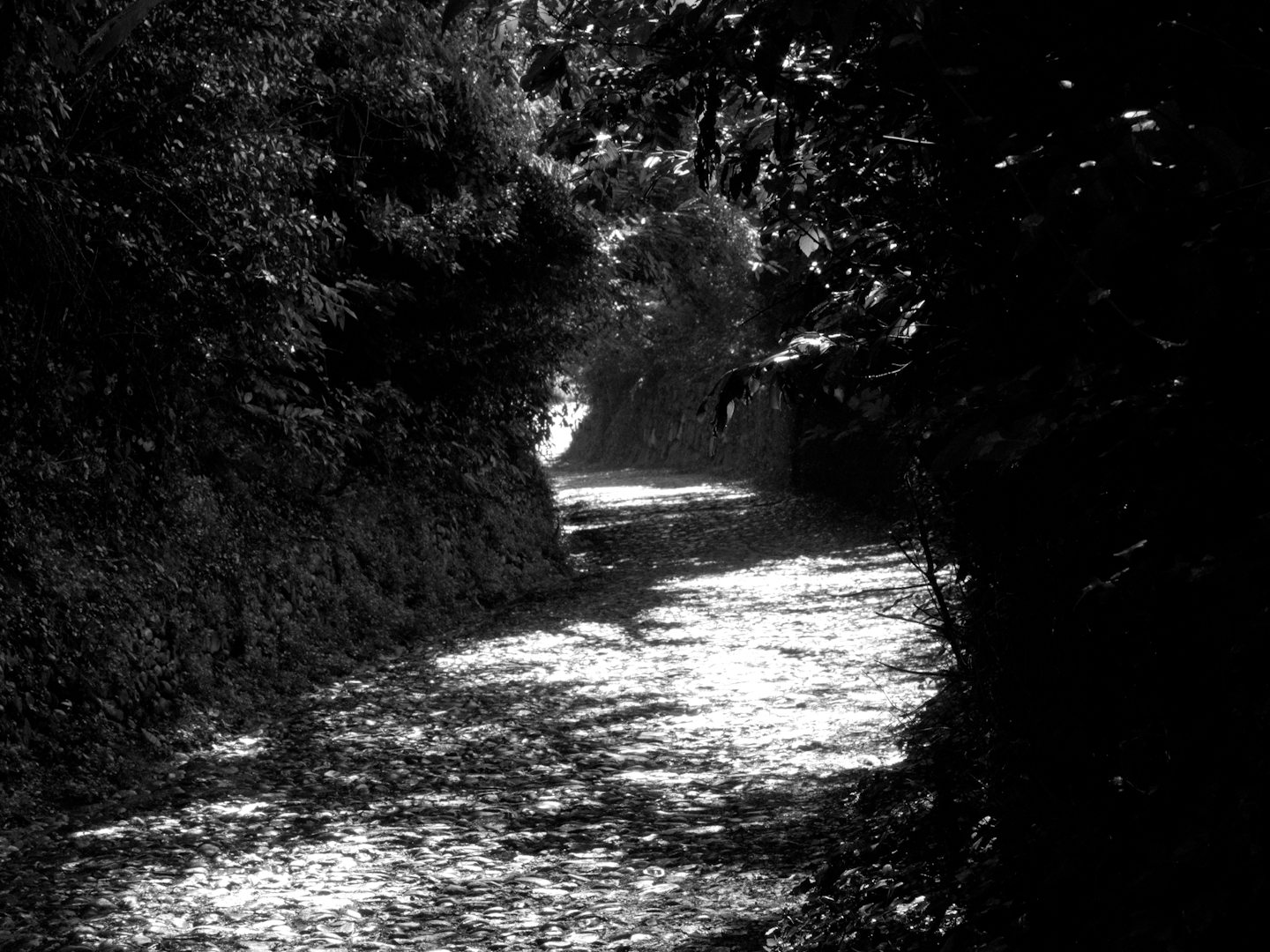 Parco Spina Verde di Como