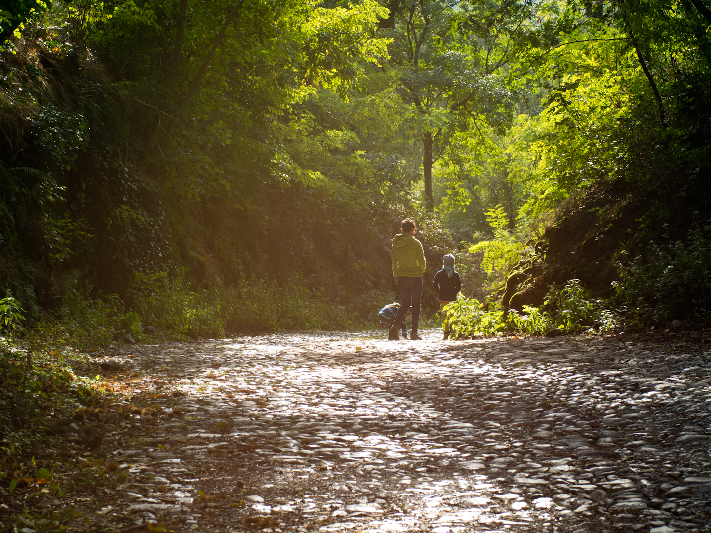 Parco Spina Verde di Como