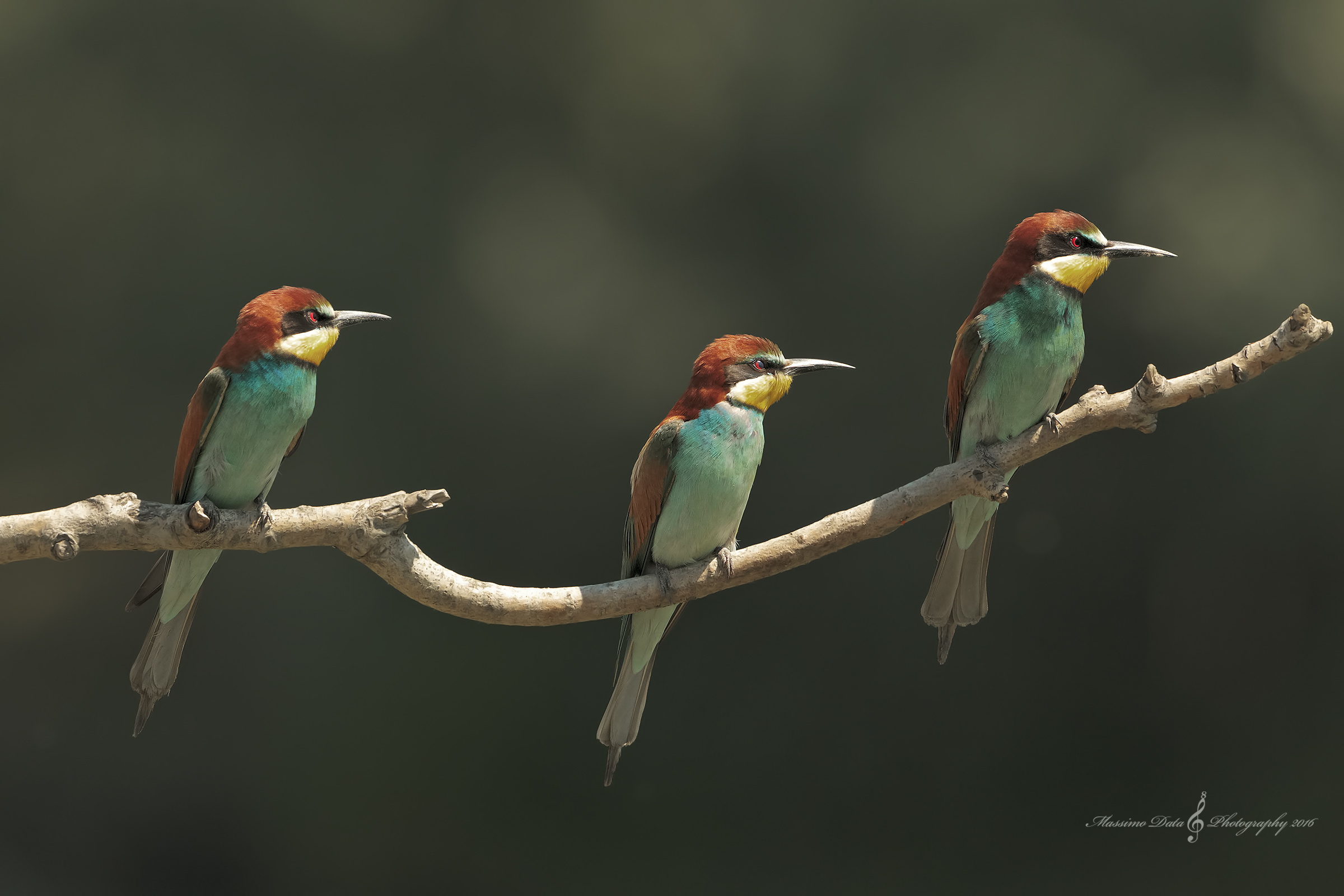 I've already andati..e I miss