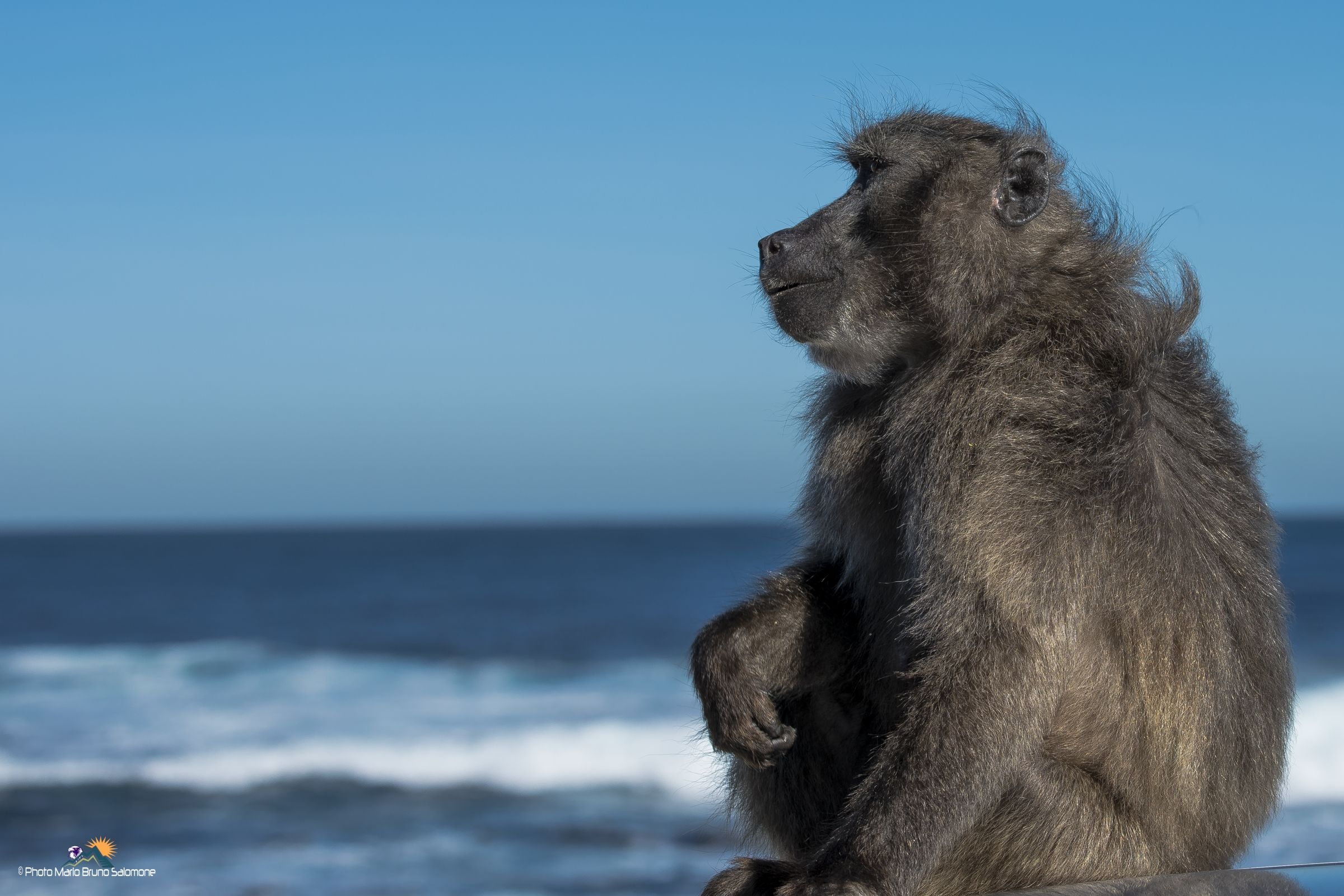 Looking at the horizon.