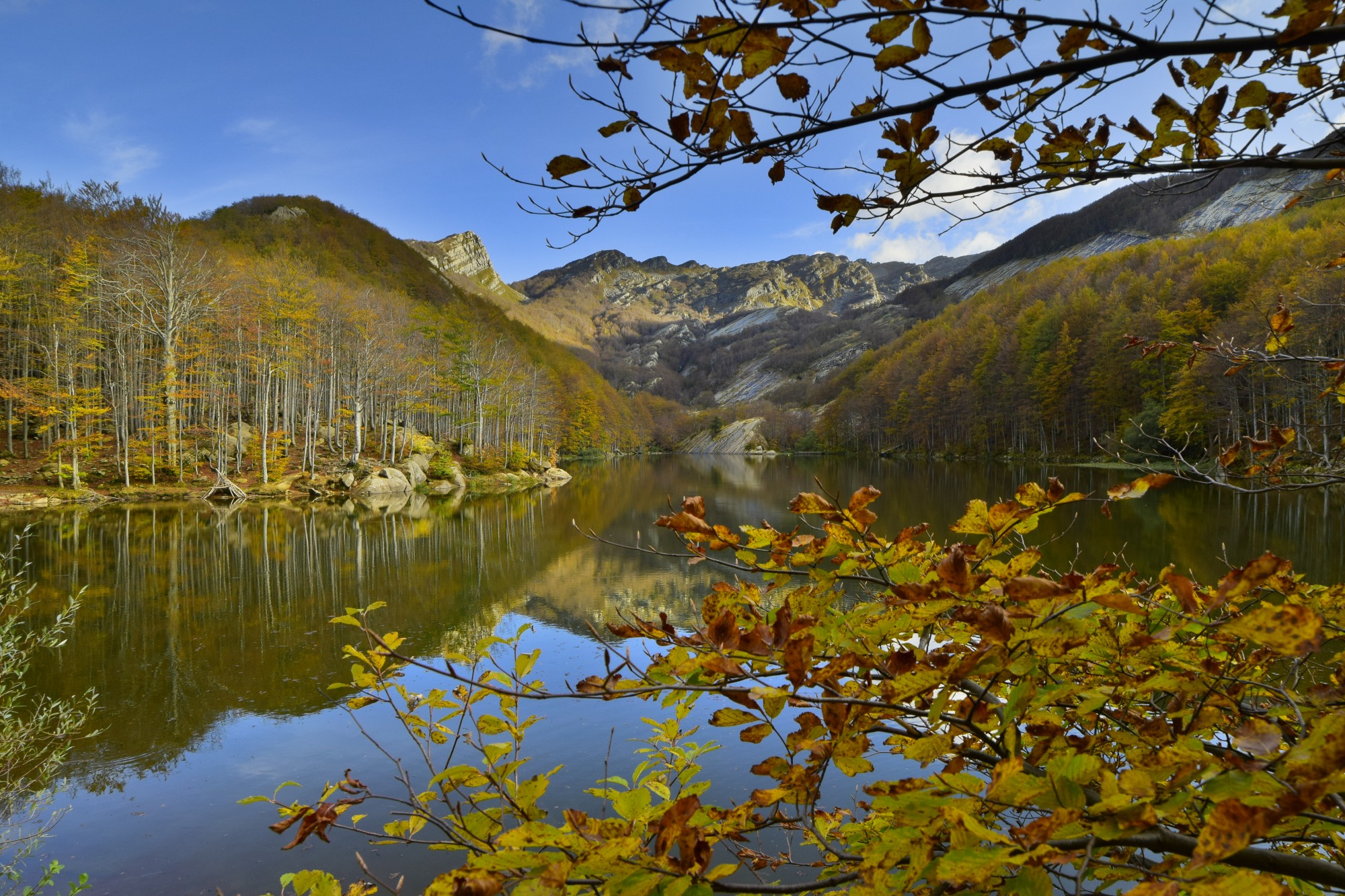 immersing himself in the fall