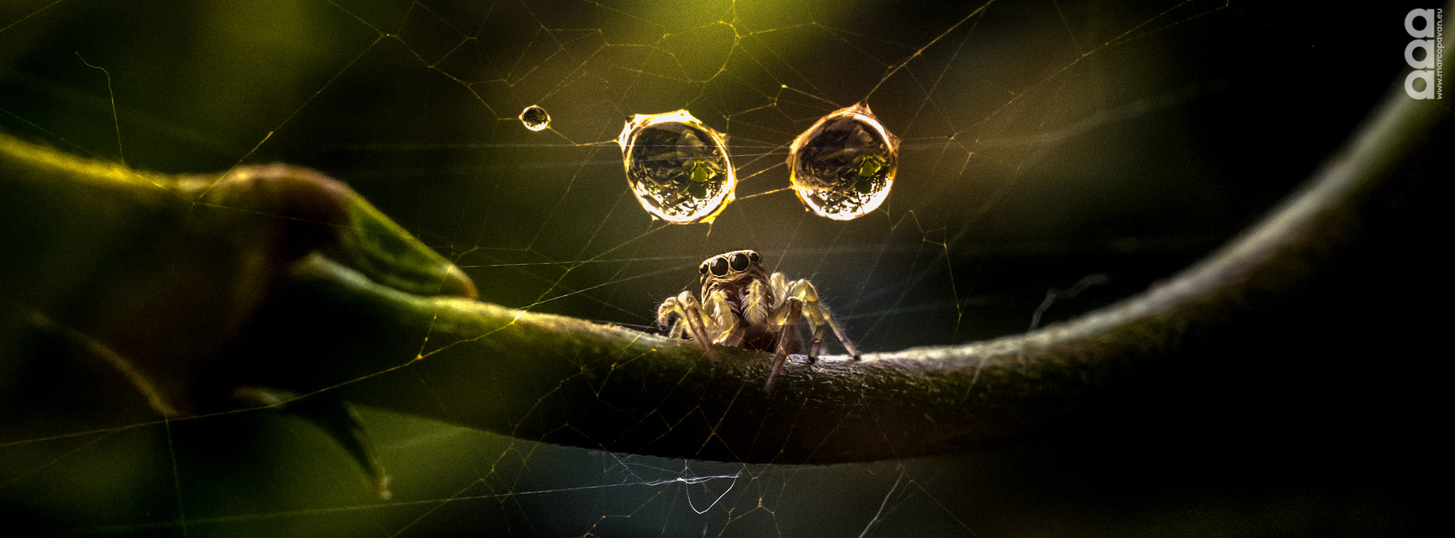 ... It's raining in my house