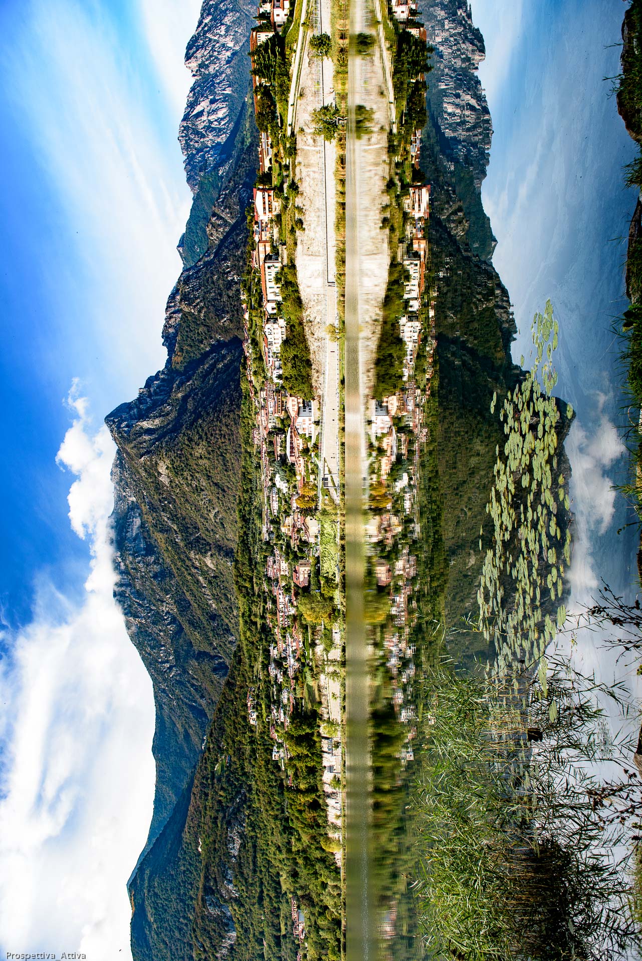 The sword in the Stone