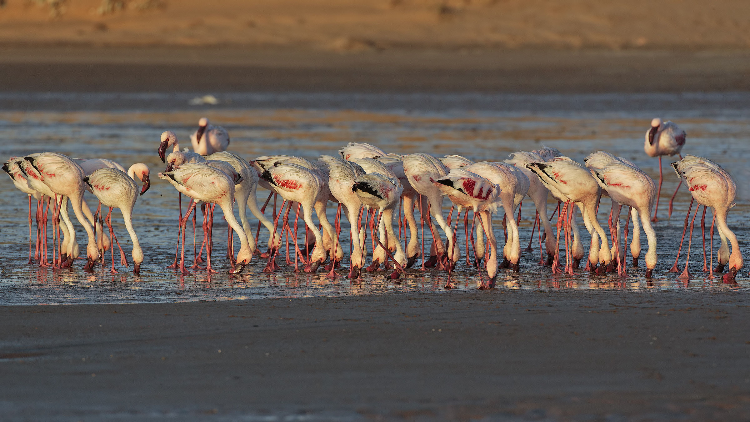 Tutto prenotato solo posti in piedi