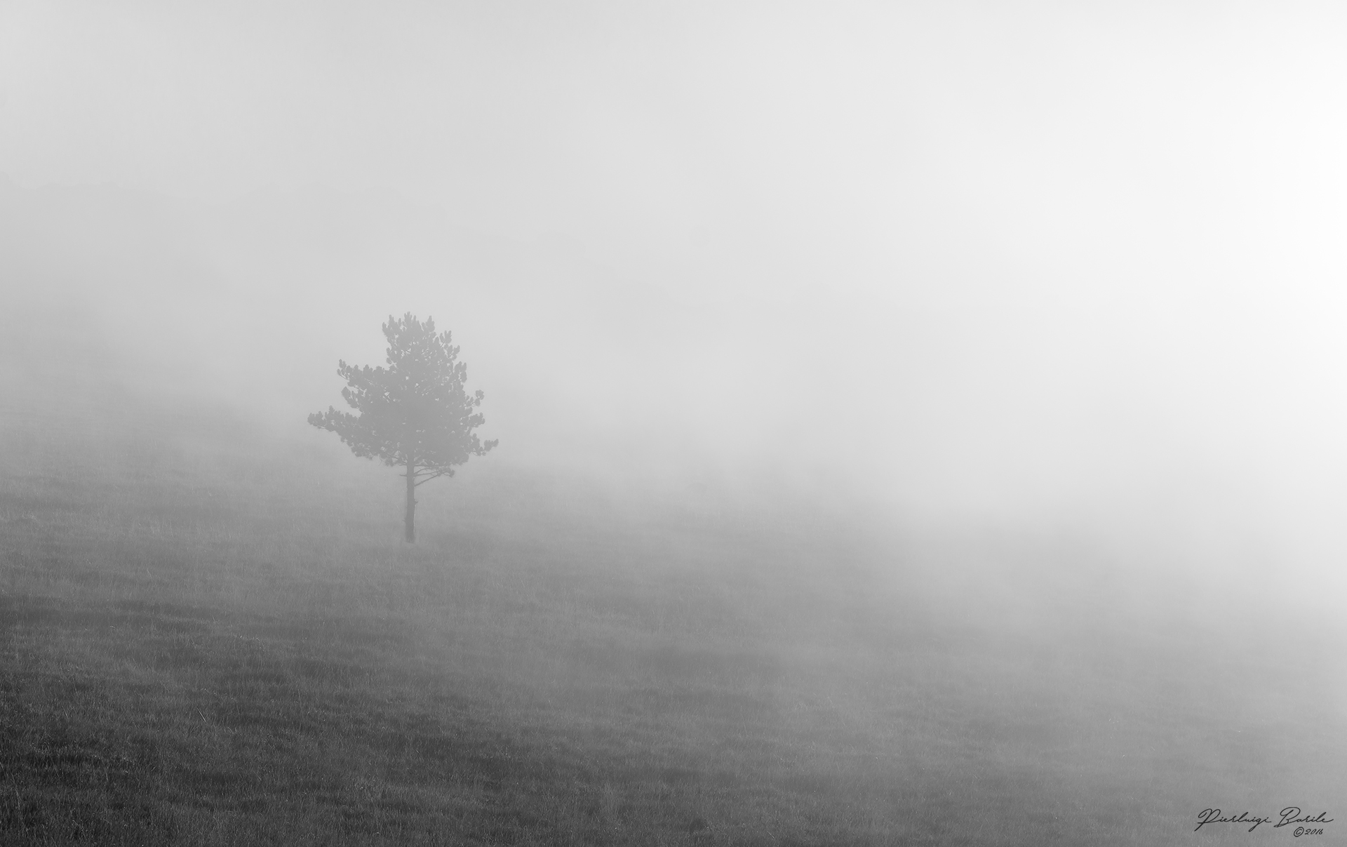 Loneliness in the fog