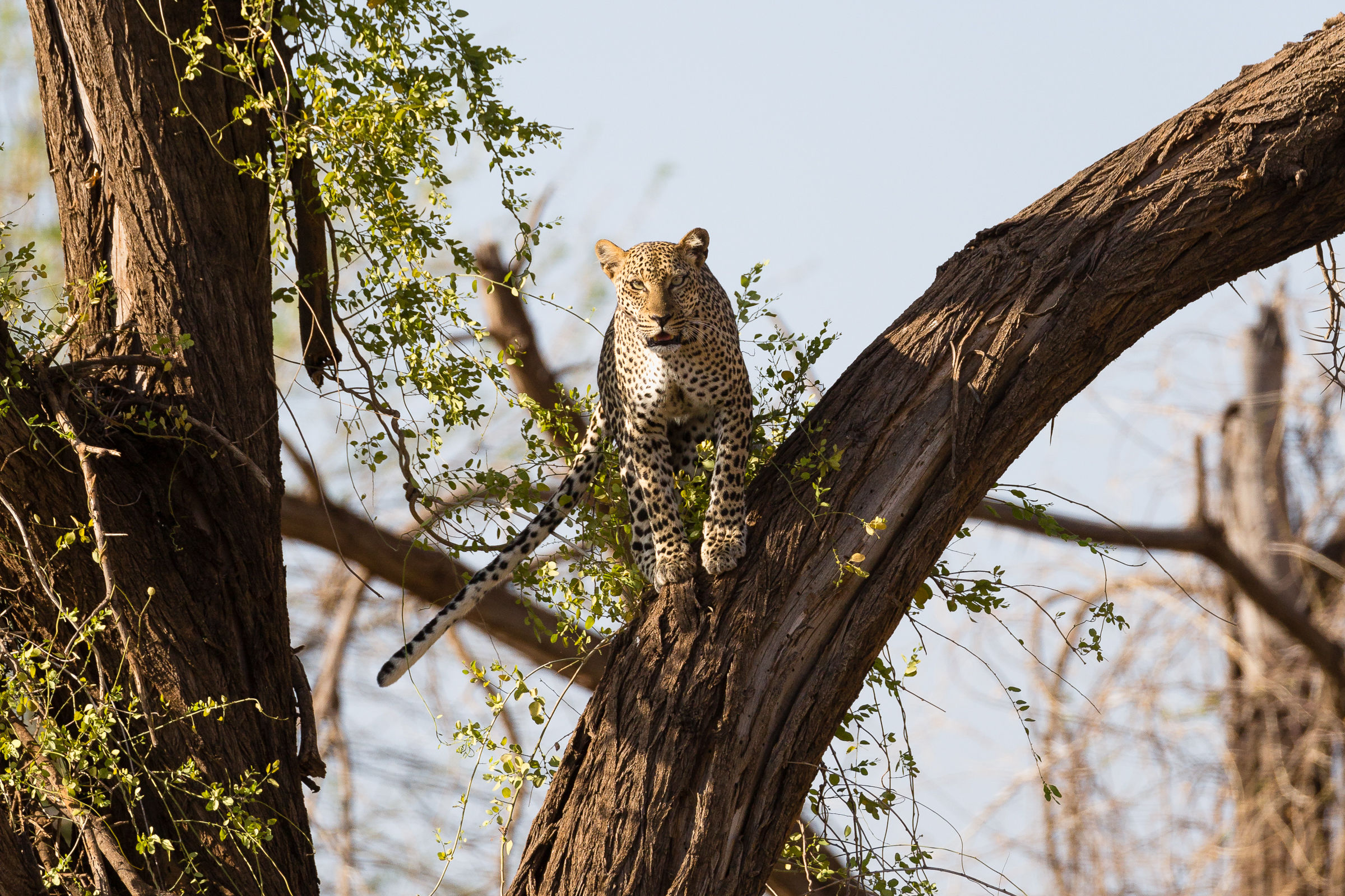 I look at you from above