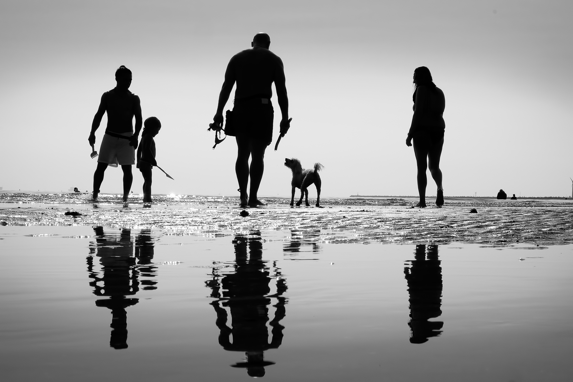 me lo tiri quel bastoncino?