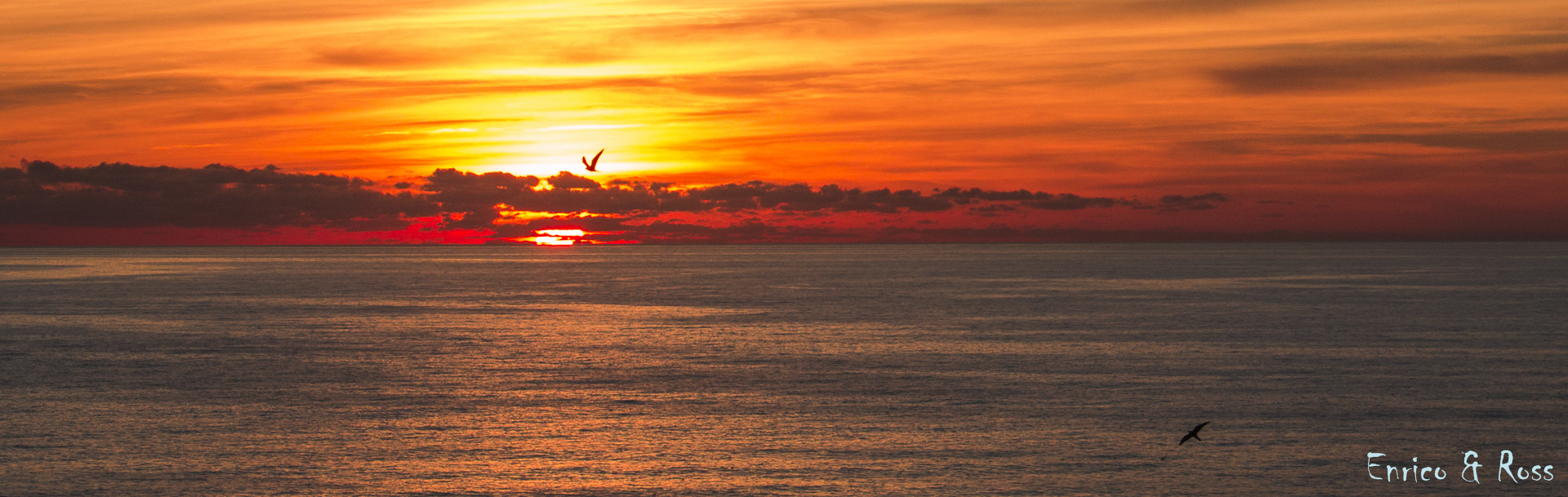 Sunset with Queen hawks