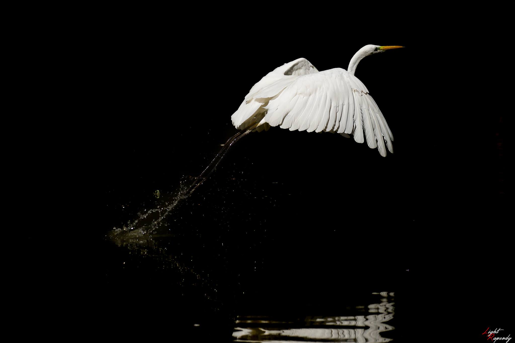 Il contesto è essenziale