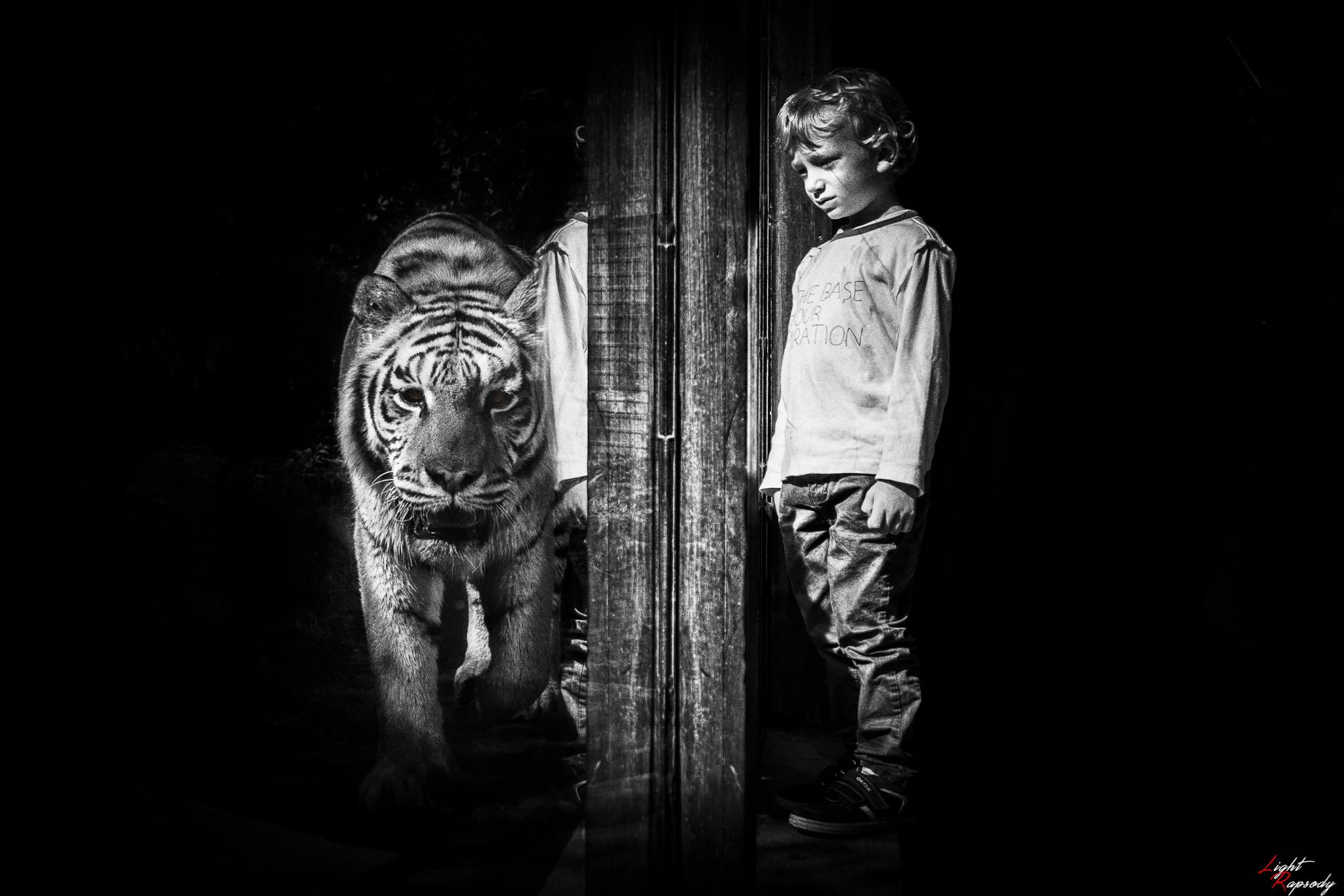 Anche gli specchi mentono...