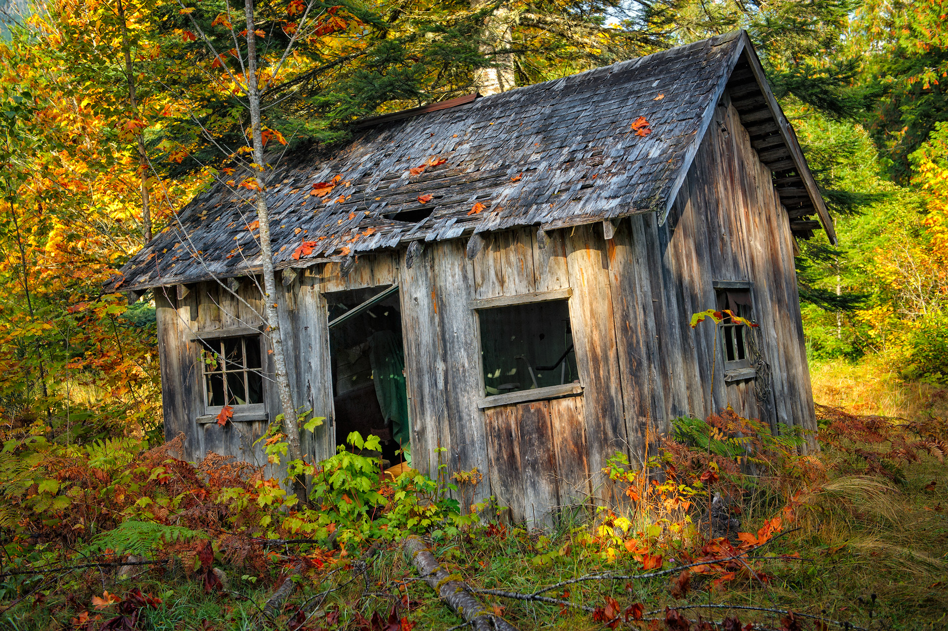 La casa nel Bosco, Washington state