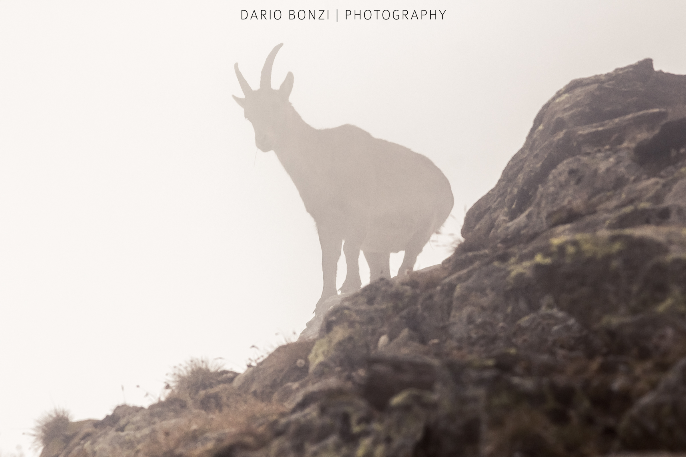 Luce soffusa dell'autunno