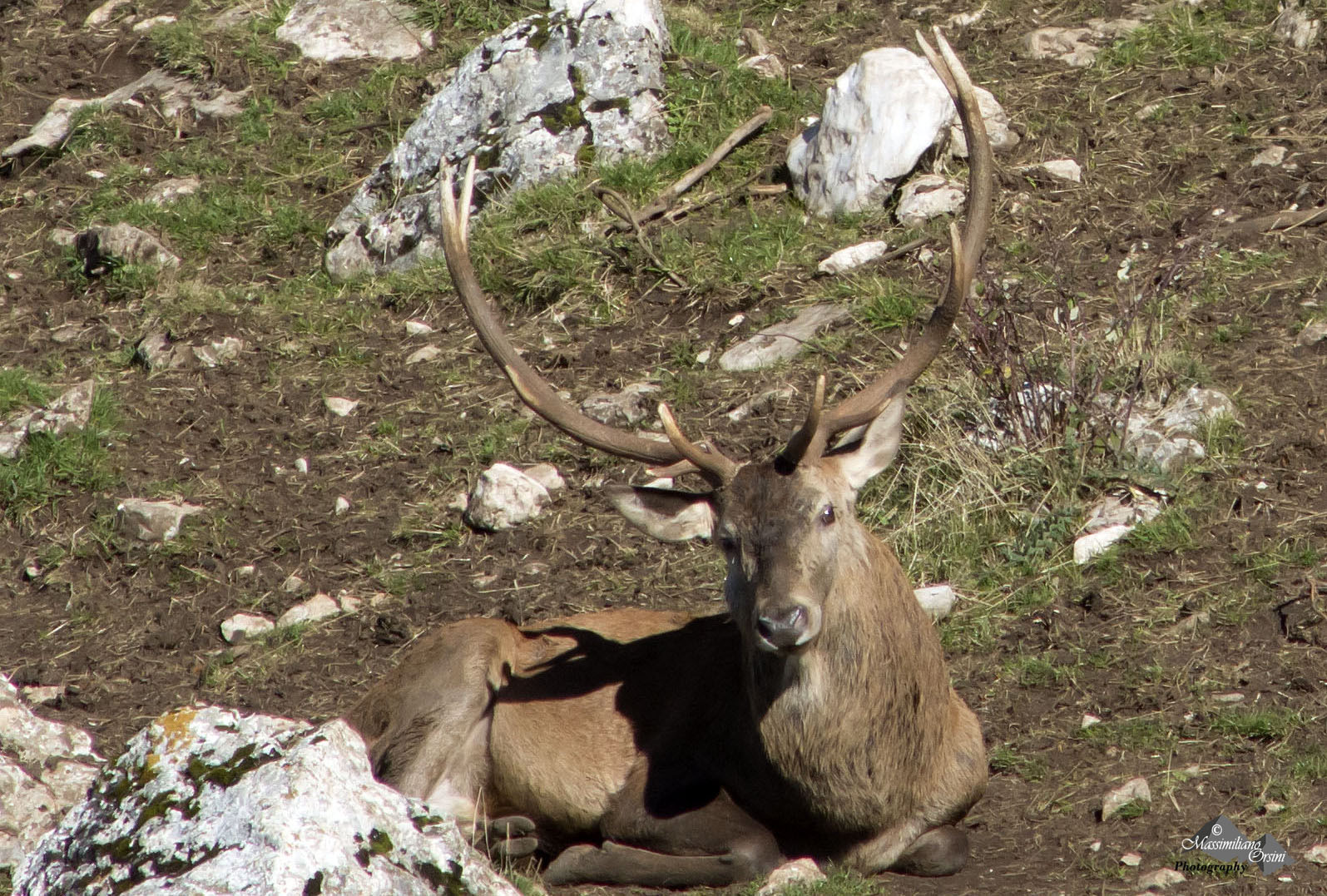Fine del tempo degli amori
