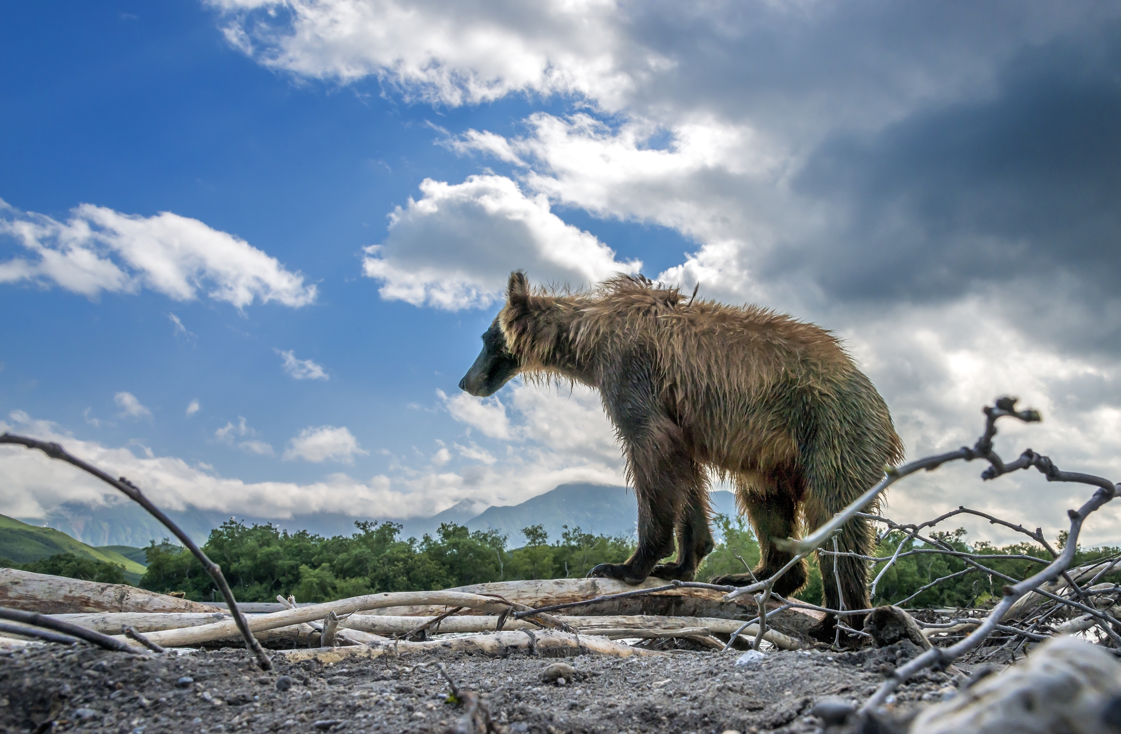 Kamchatka 2016 - Dal basso