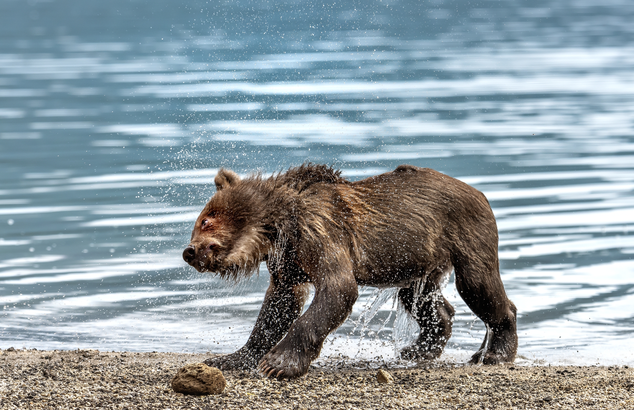 Kamchatka 2016 - Shaking