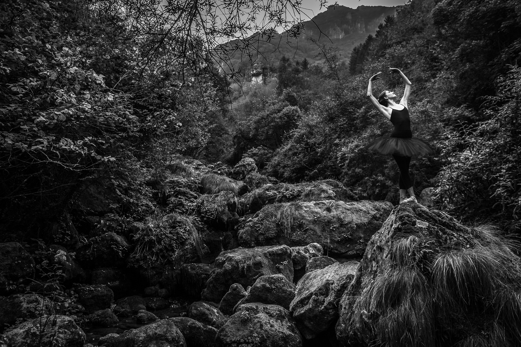 it rises in the source