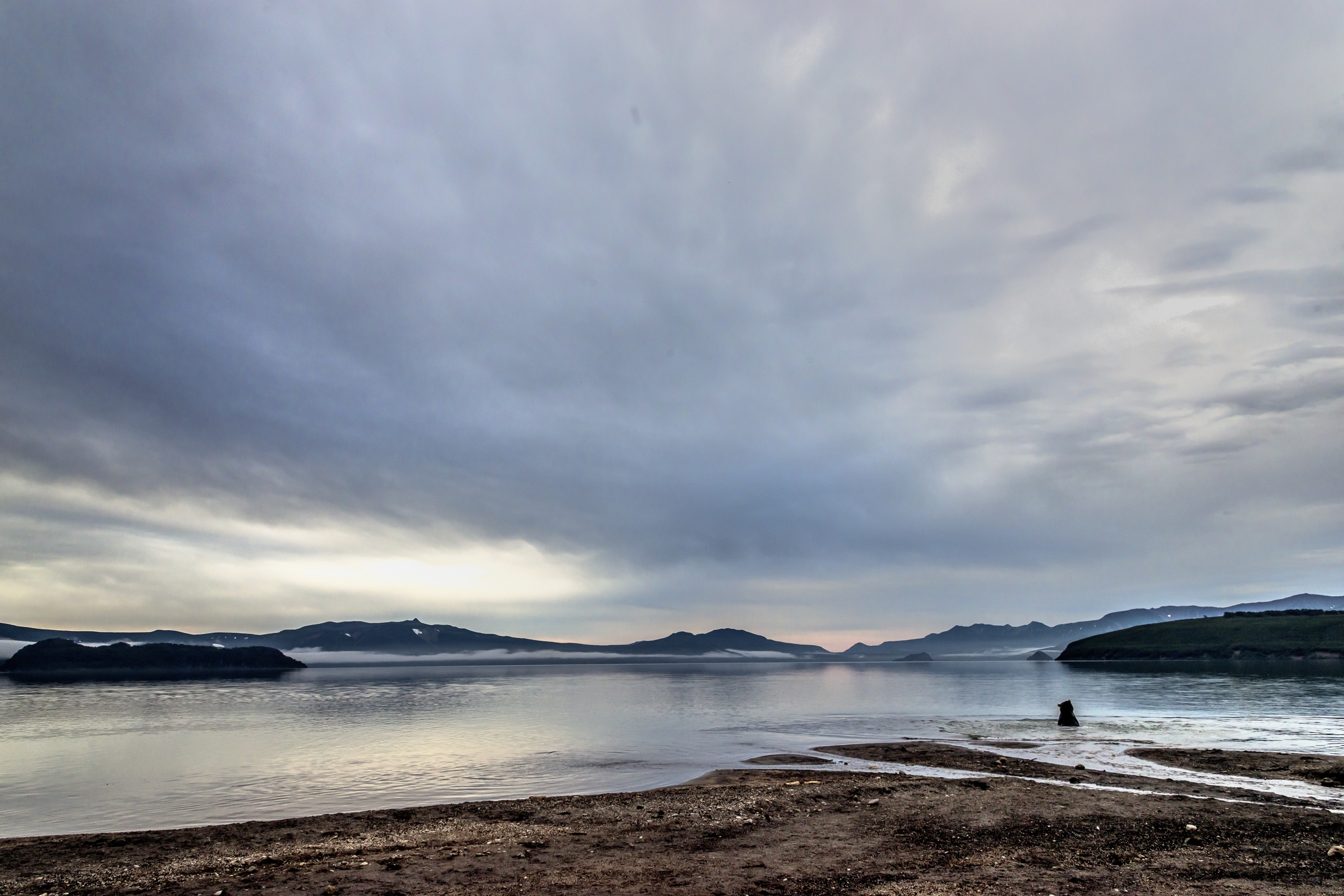 Kamchatka 2016 - Alba nuvolosa (con orso)