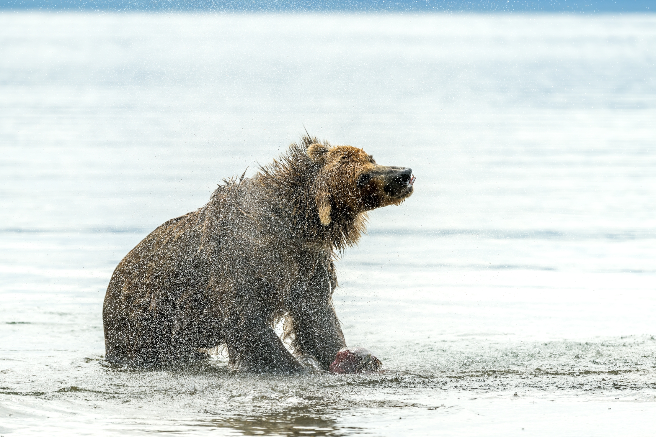 Kamchatka 2016 - Shaking