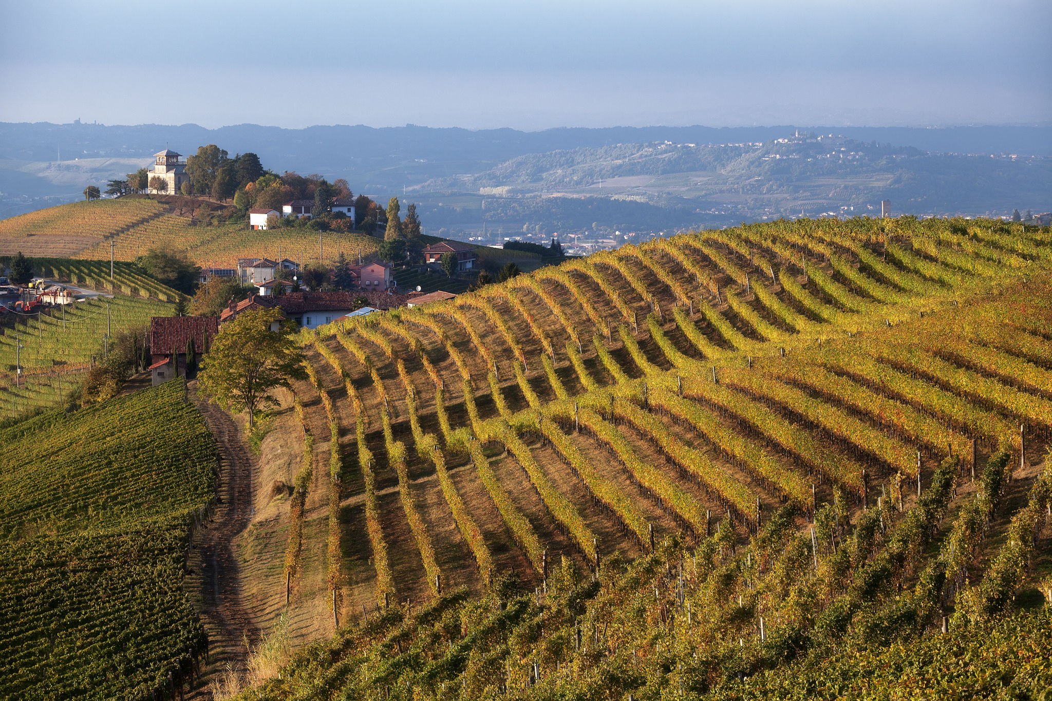 Alba and surroundings