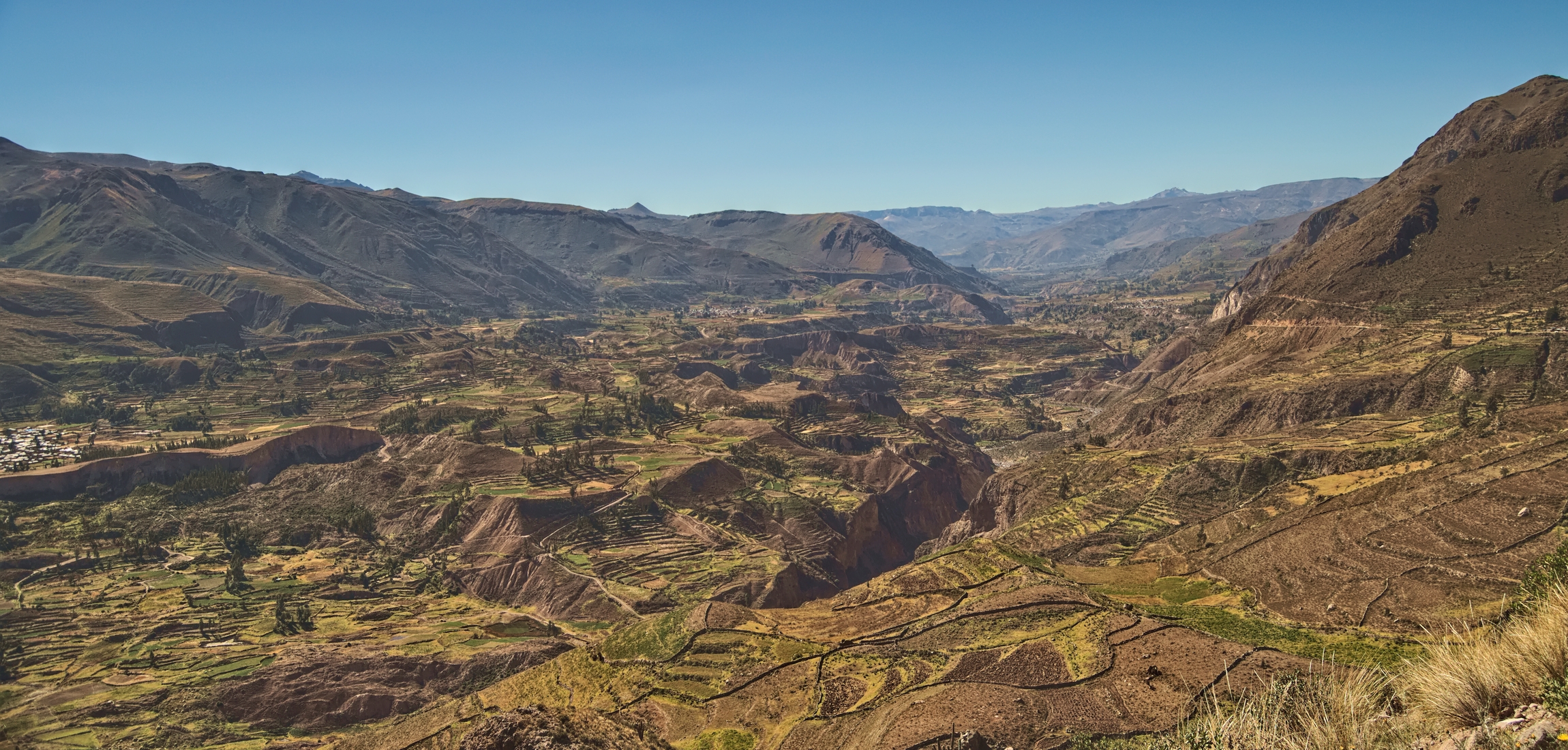 Peru' - Canyon del Colca