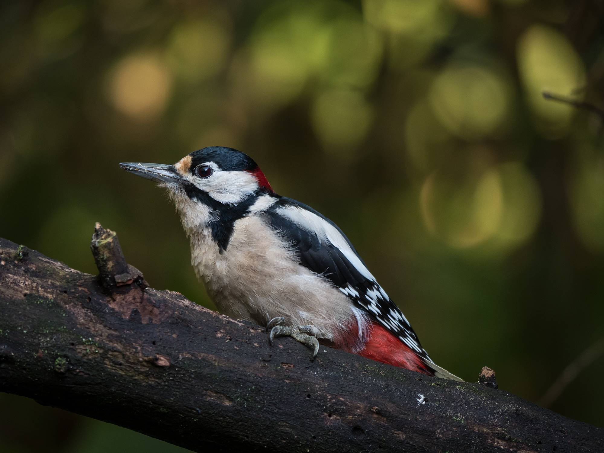 When the background counts.