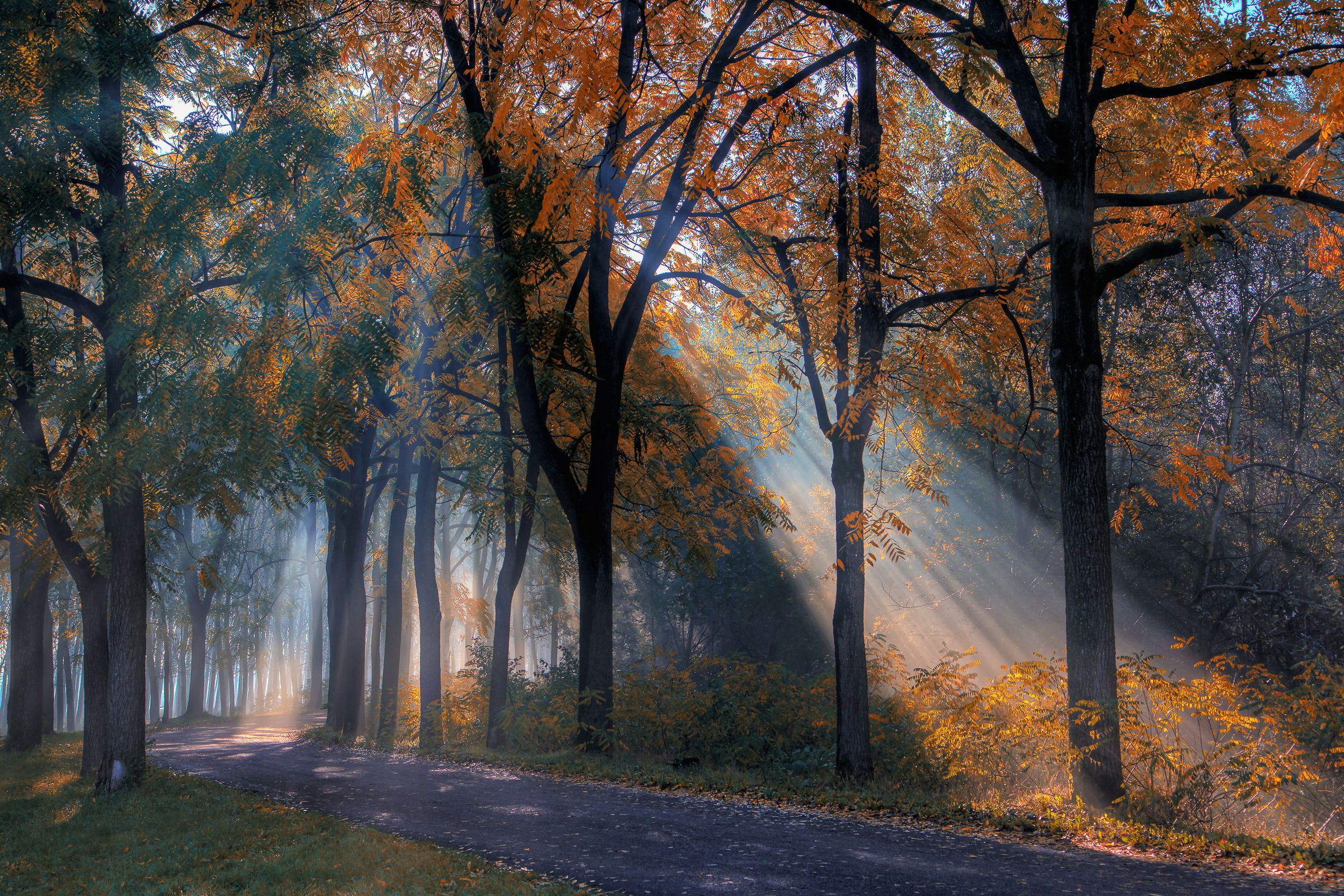 early Autumn colors in the floodplain
