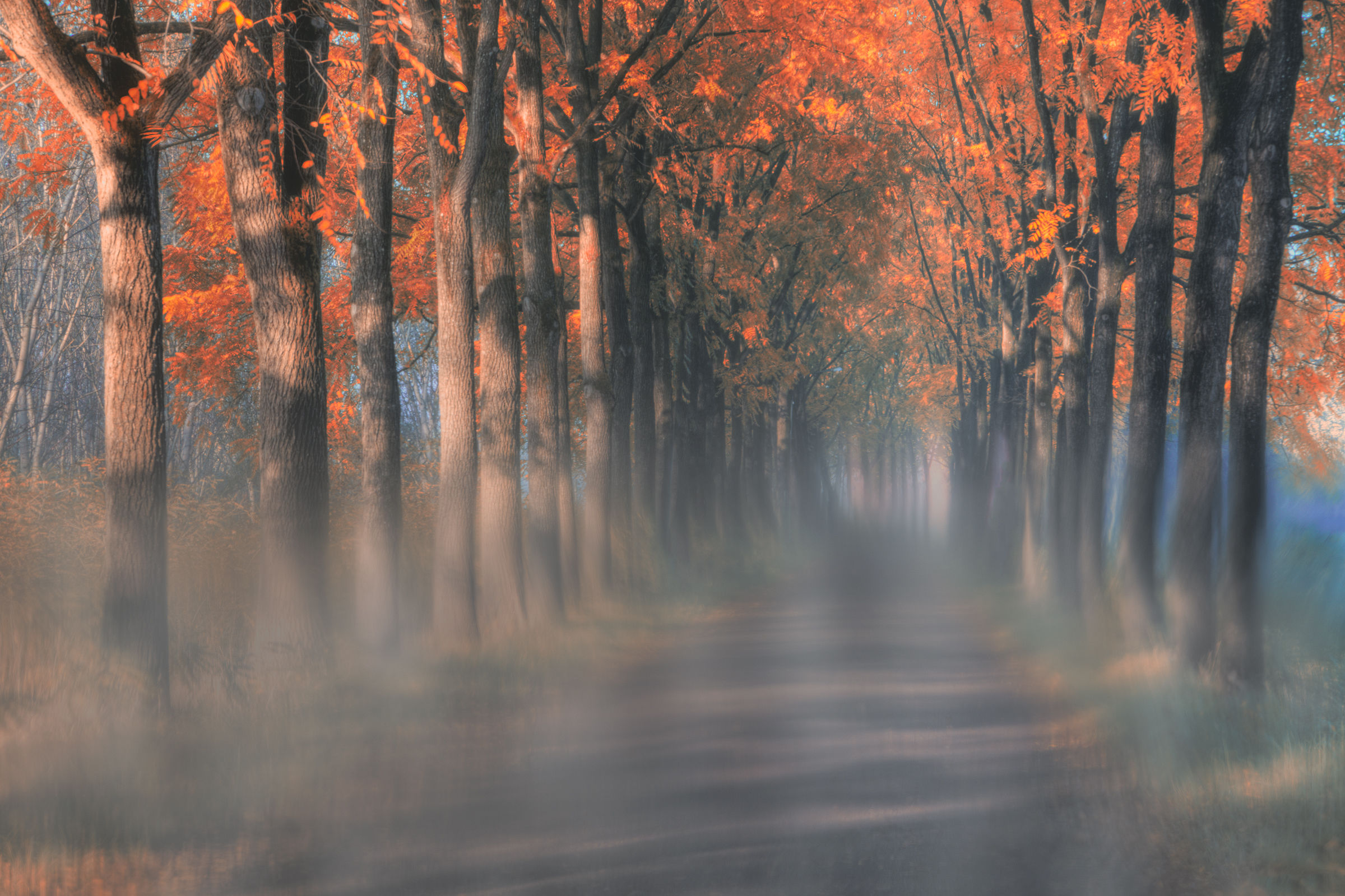 La nebbia si dissolve...