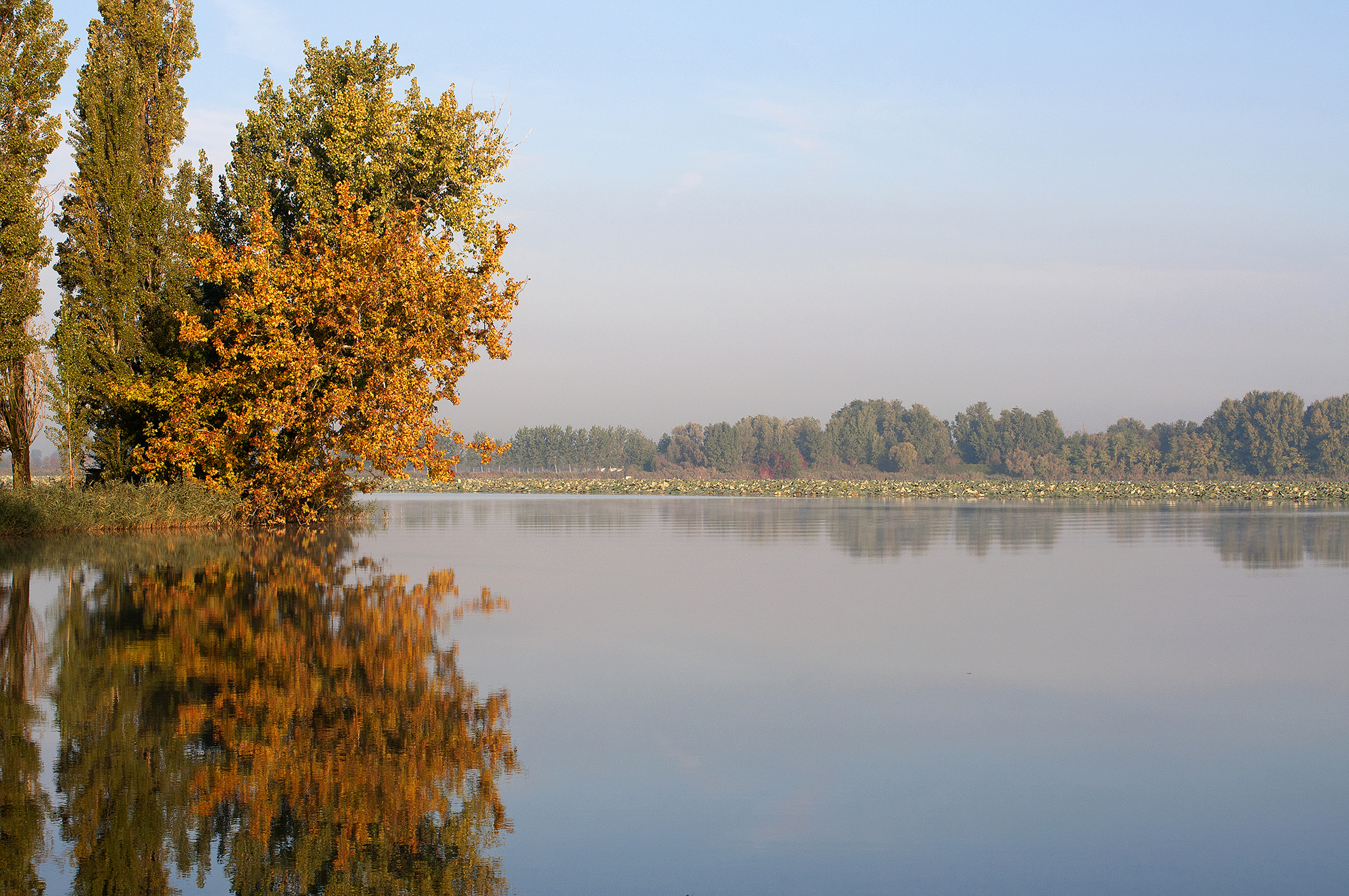 Reflection of autumn