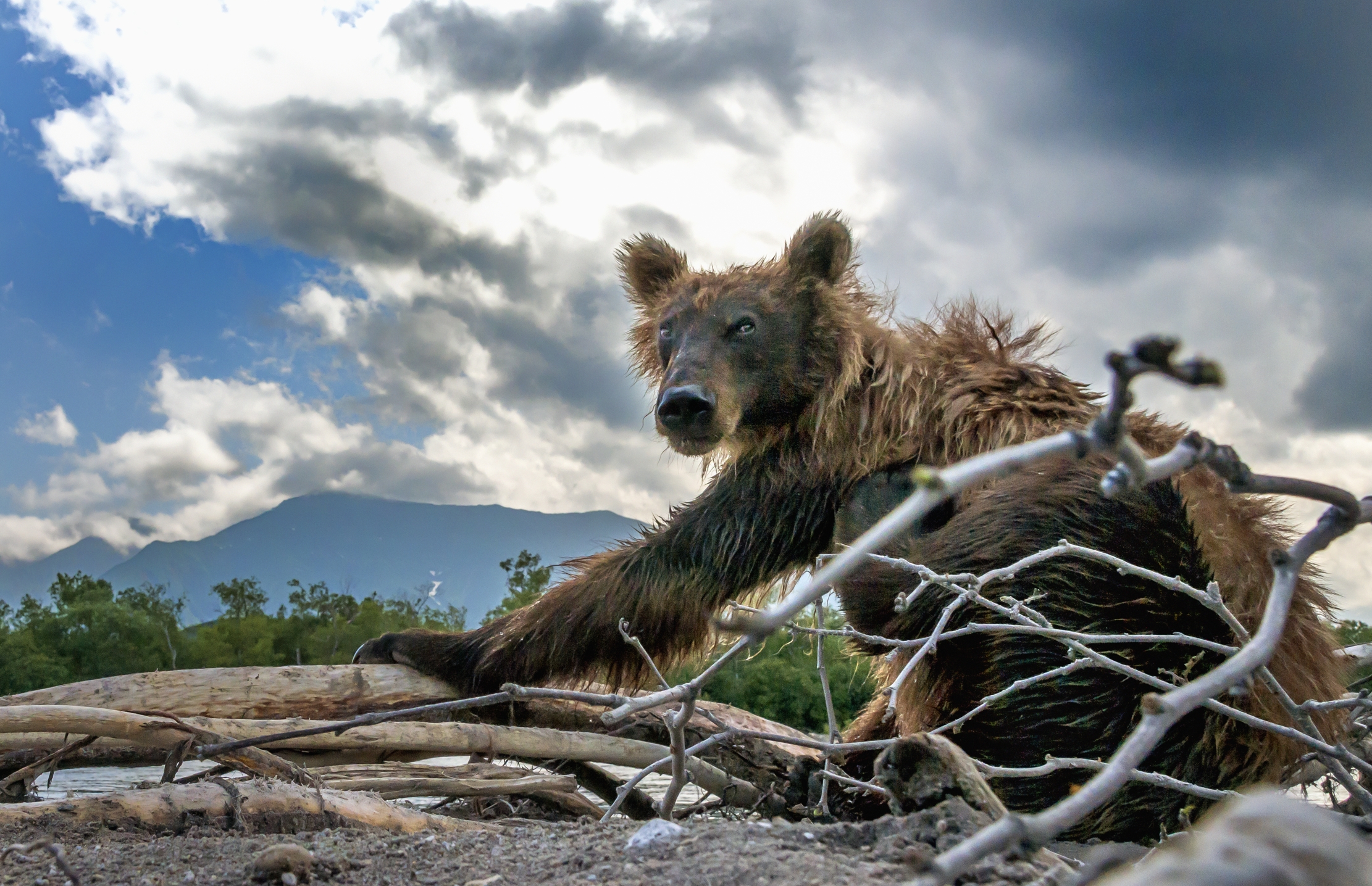 Kamchatka 2016 - Sorpreso