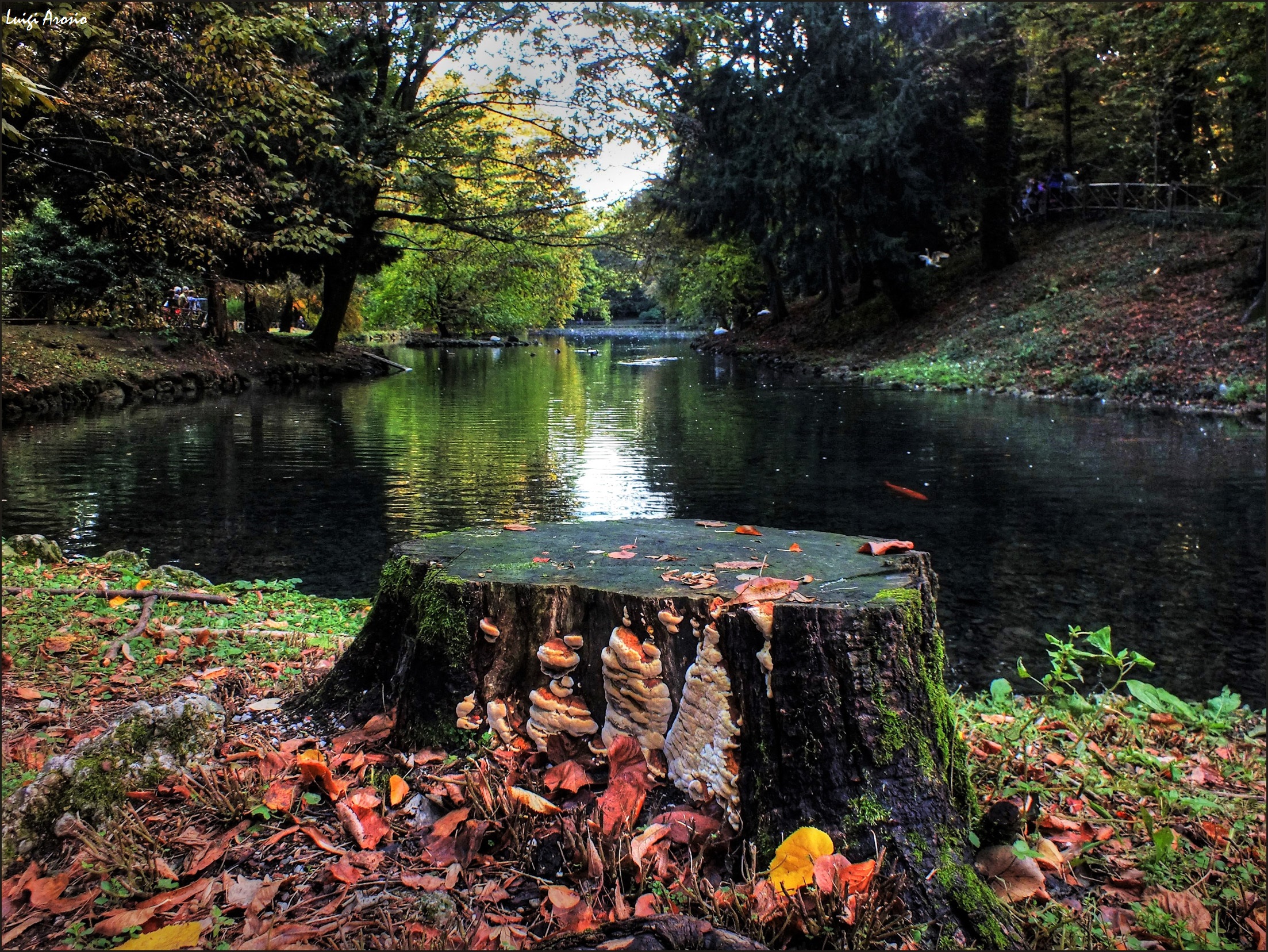 Severed, and life goes on