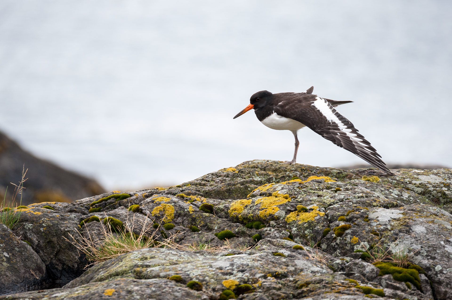 Ma che bella sgranchita!