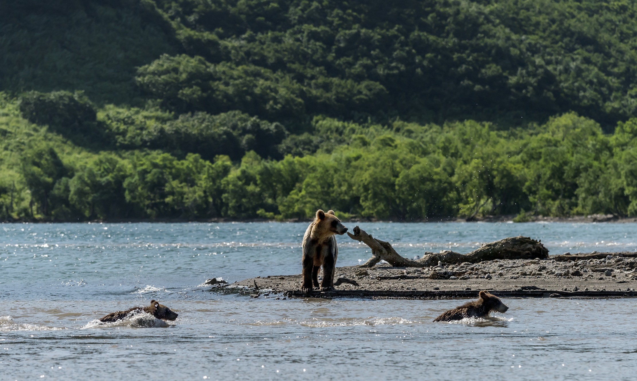 Kamchatka 2016 - La traversata